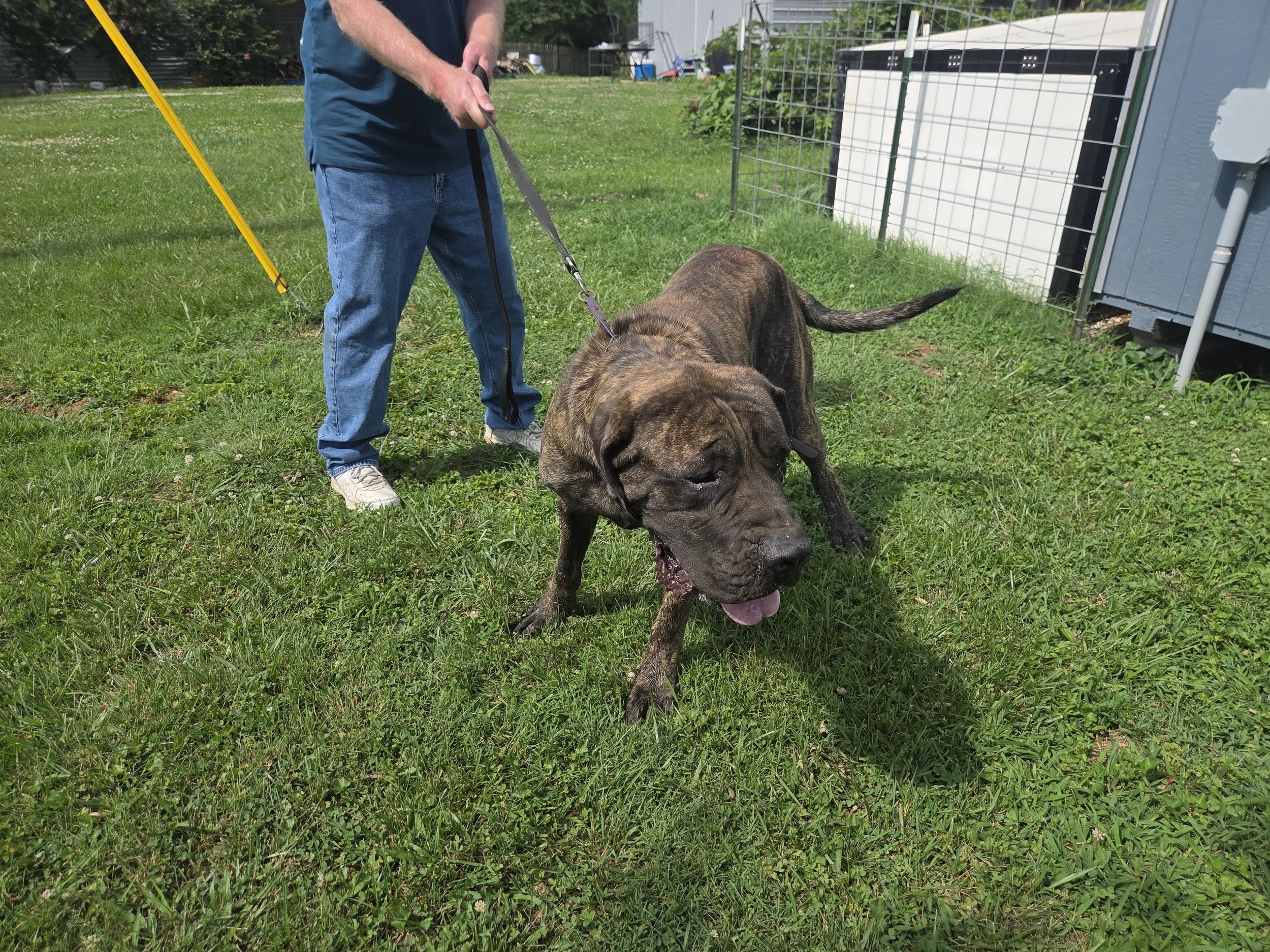 20260628_153317.jpg