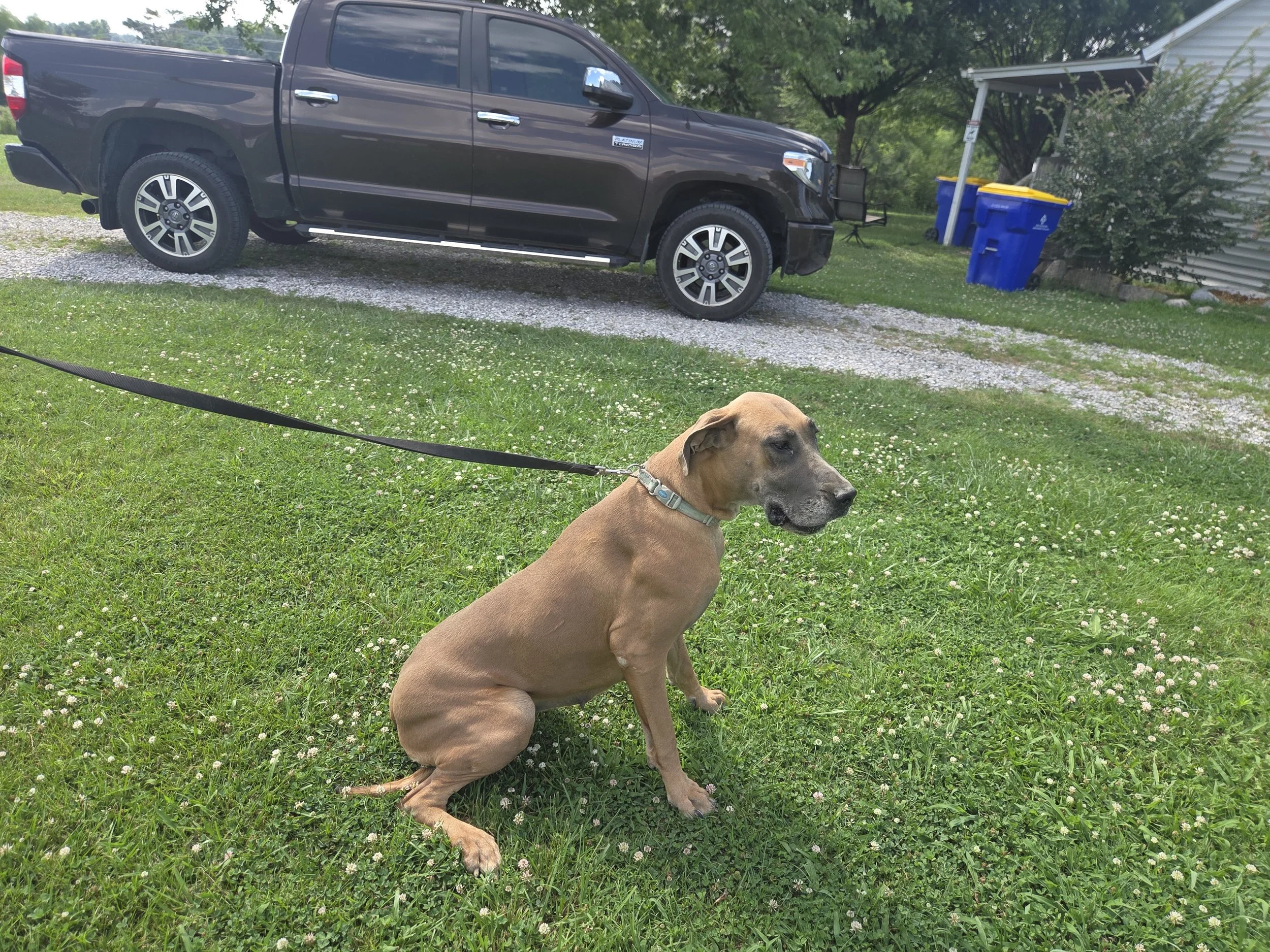 20260628_153933.jpg