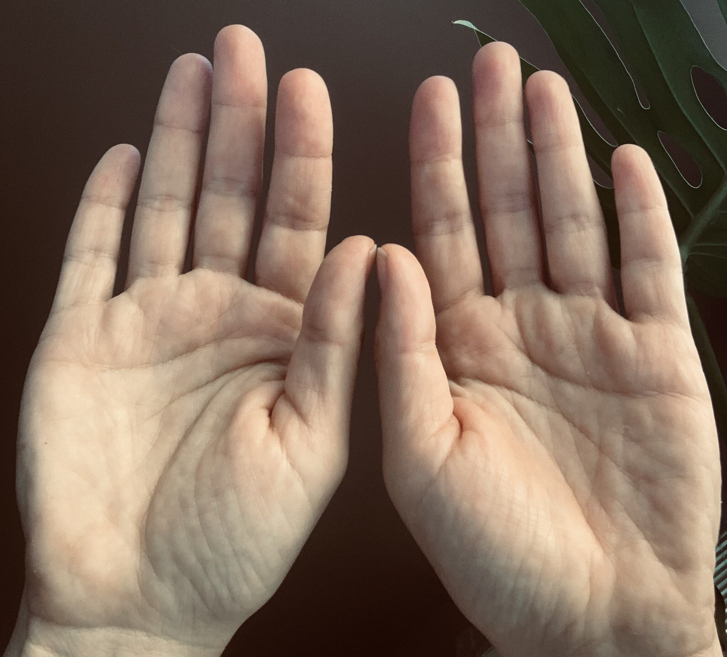 Class Schedule — Bryn Mawr Reiki Center