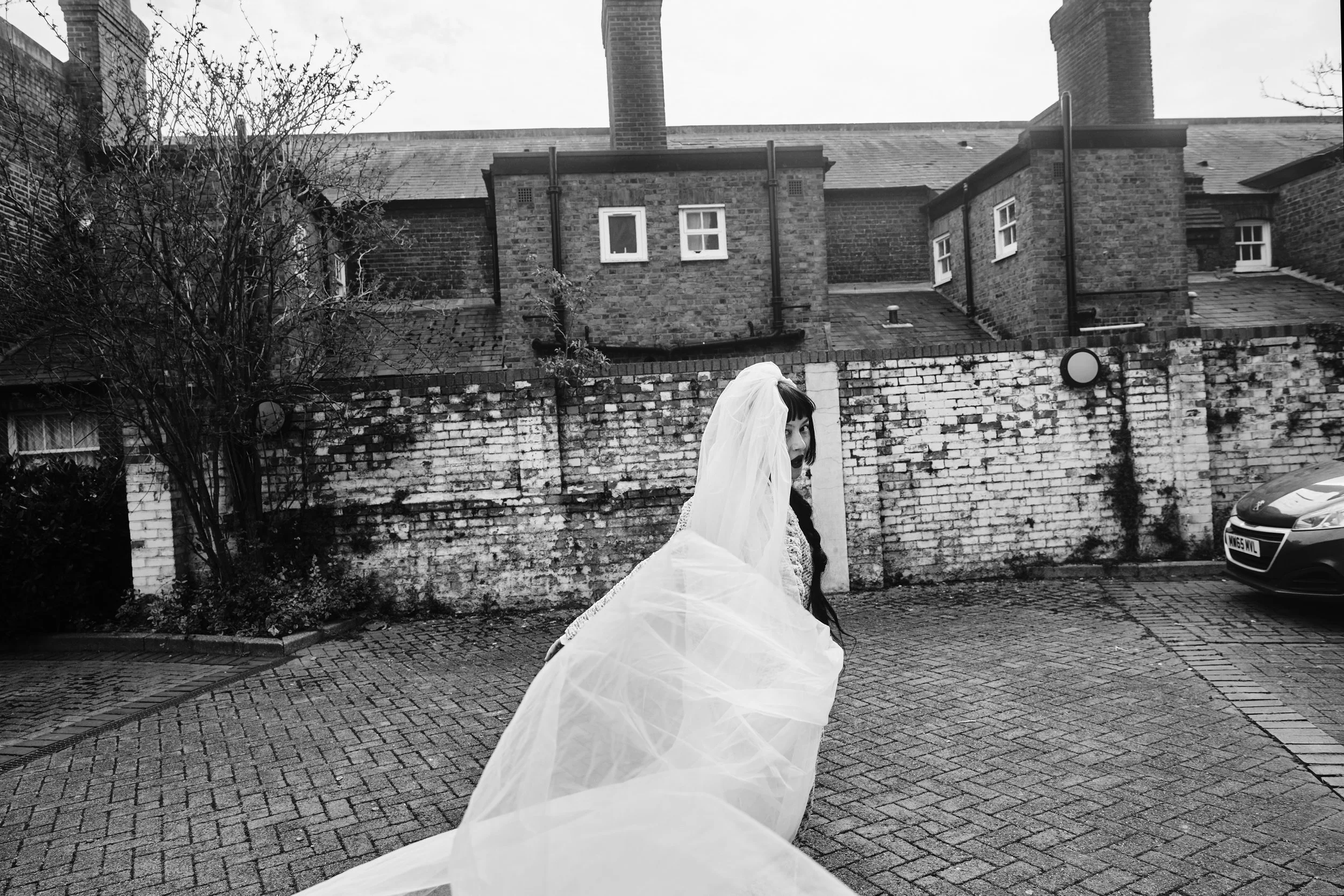 POLYESTER-JB 15.jpeg