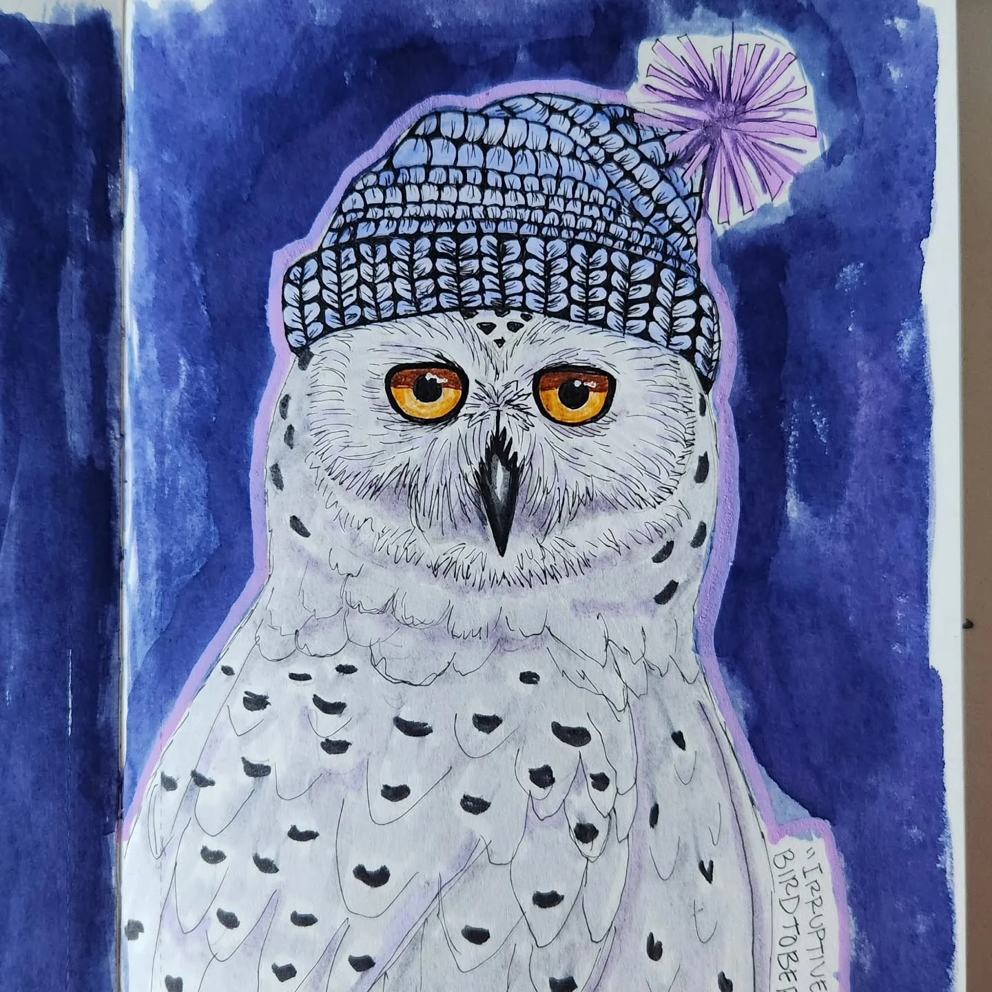 Birdtober "irruptive species"  @kaylafiskbirds
I chose a snow owl.  She's looking cute in her beanie.
#snowowl #snowyowl #irruptivespecies #birdart #birdtoberclub #birdtoberclub2025 #sketchbookspread