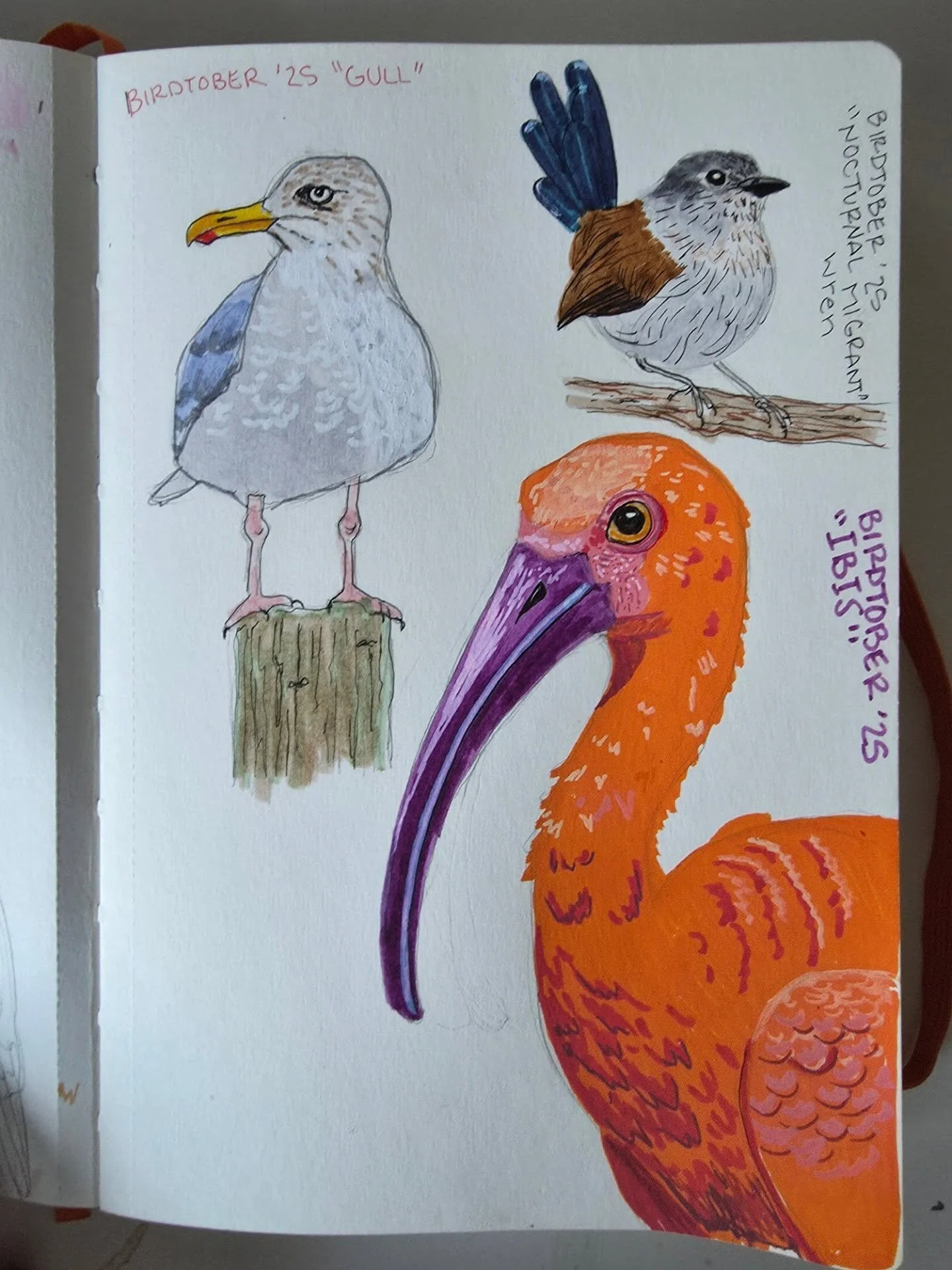 Birdtober hosted by @kaylafiskbirds is still going strong over here. 
Here are a few of the birds I've sketched in my sketchbook.  Mostly using tombows and a few poscas .
#birdtober #birdtober2025 #birdart #sketchbookspread #sketchbookartist