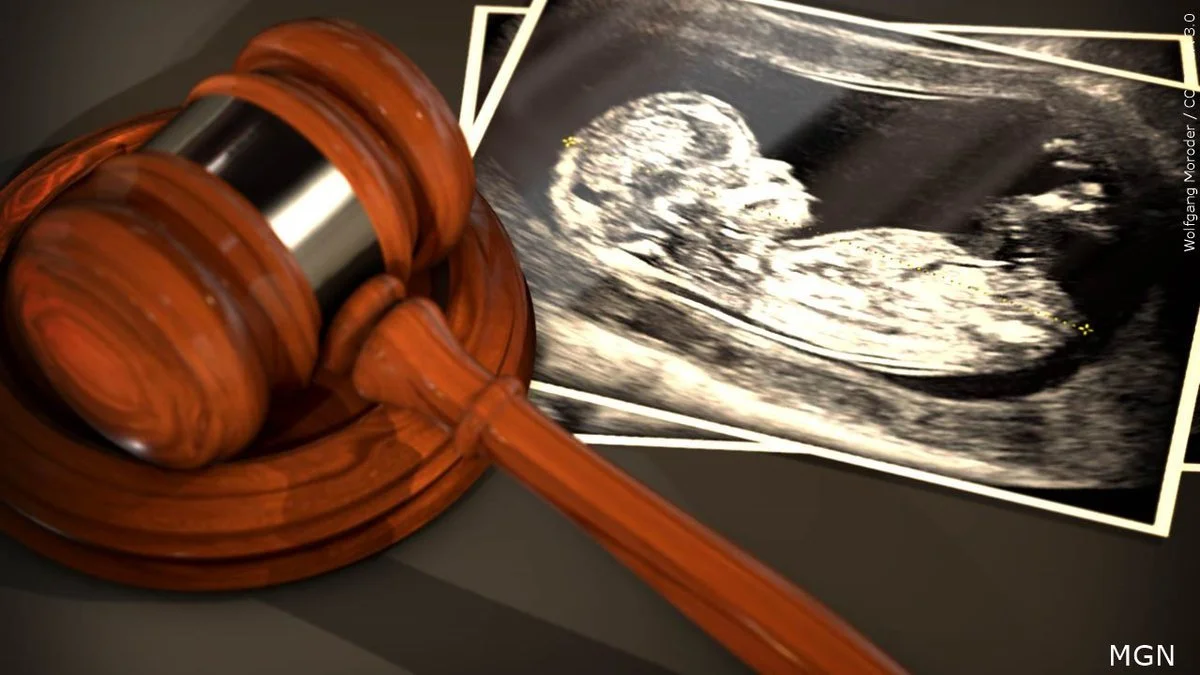 Supreme Court UPHOLDS Idaho’s Abortion Ban: Killing Children Is Not Allowed In Idaho — Conservatives Rejoice While Democrats Plan Revenge