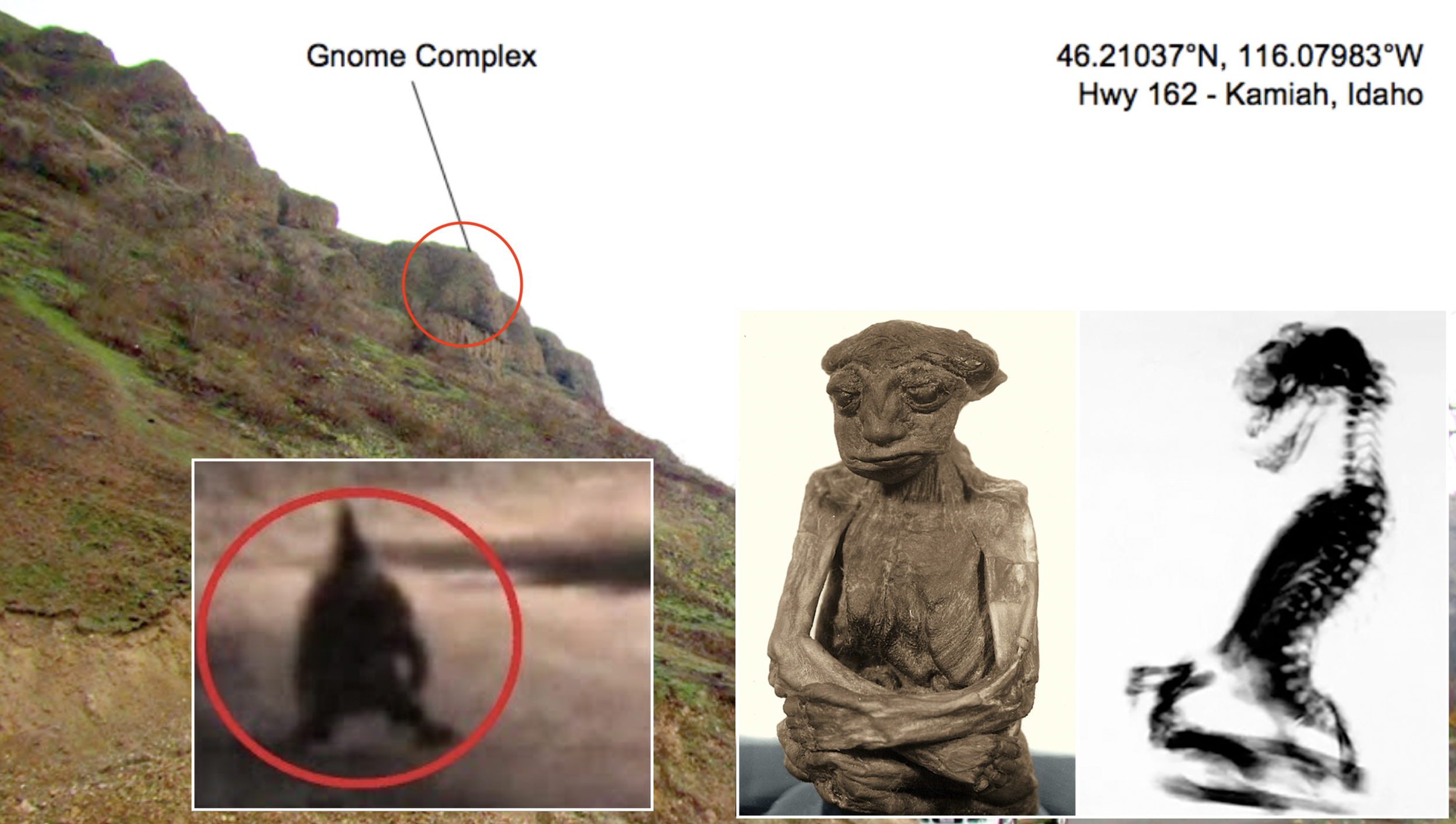 Scientists Discover Ancient “Gnome Civilization” in Idaho — Mysterious Gnome Homes Revealed