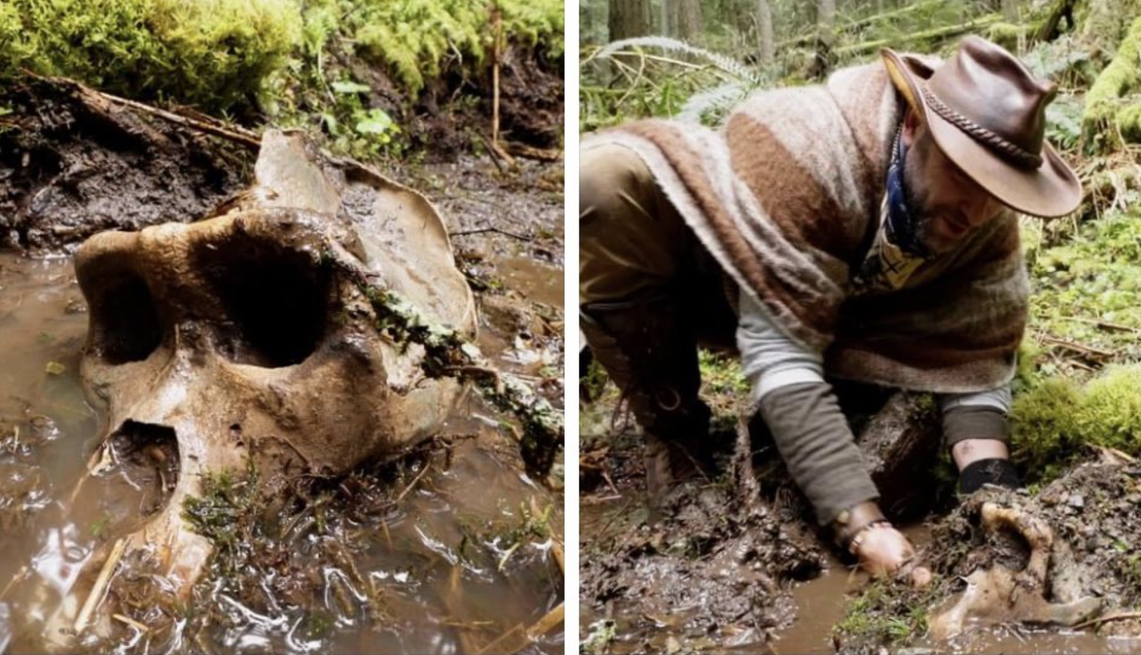 Possible “Bigfoot Skull” Found in BC Canada — Smuggled Through TSA “Awaiting Primatologist Review”