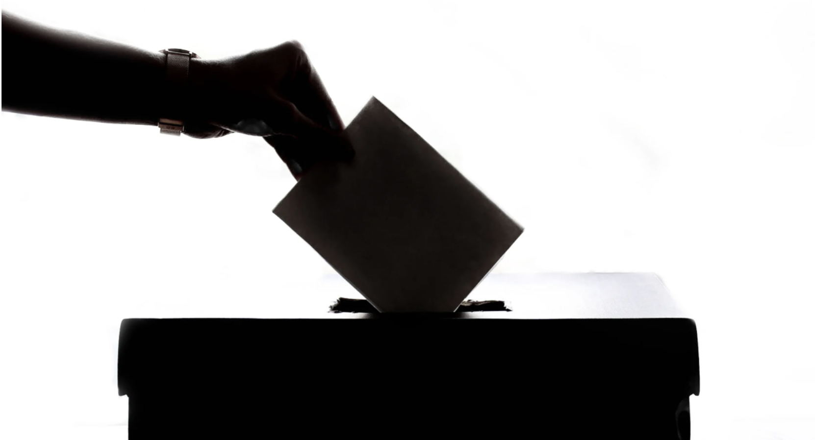 Idaho Democrats Decry GOP Rule Barring Cross-Over Voting — Democrats Vow to “Become a RINO”