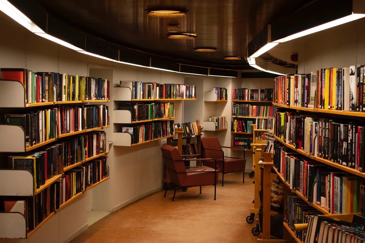 The Library as a Cultural Battlefield