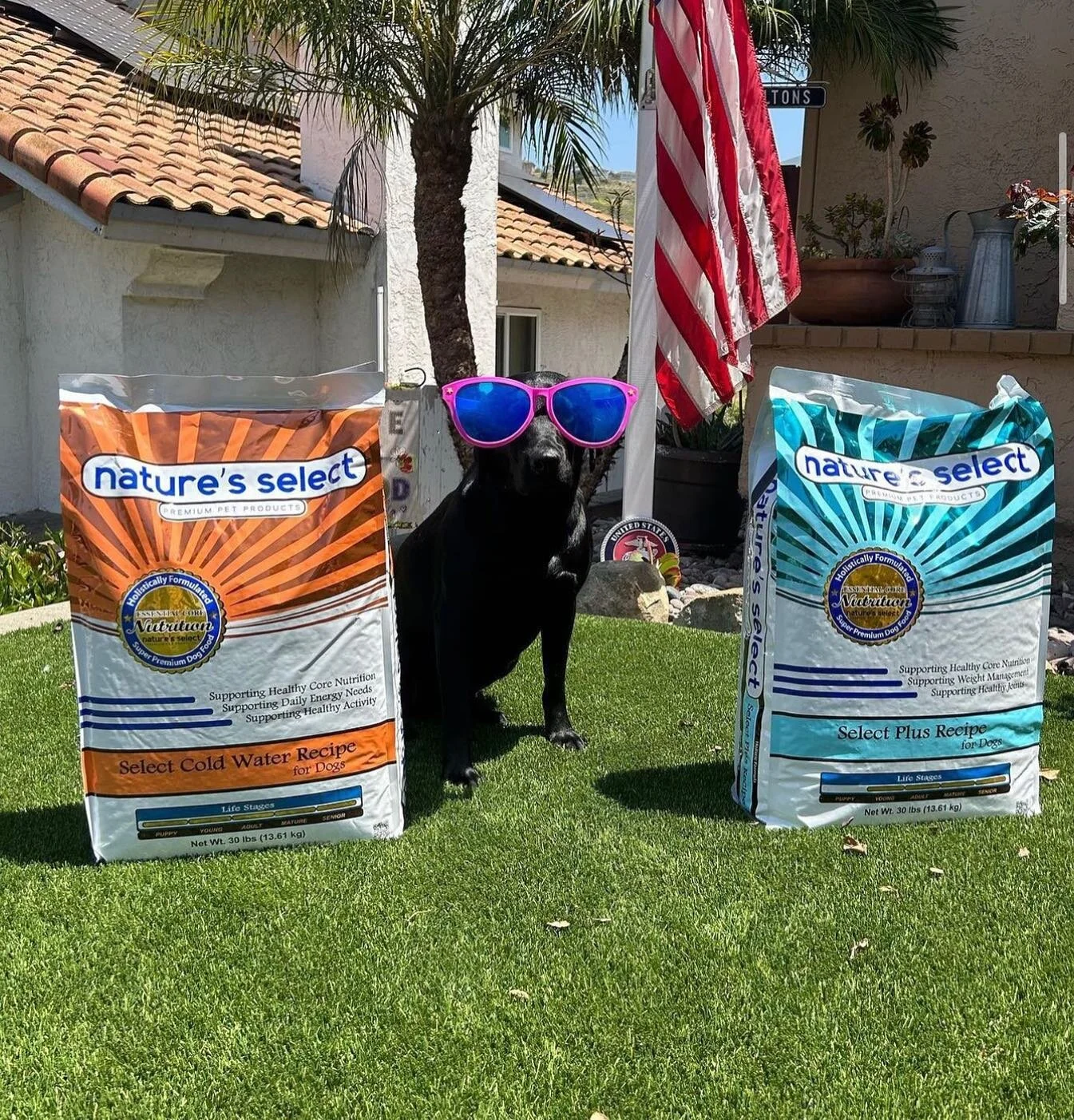 @bella_la_princesa619 we&rsquo;re so happy you&rsquo;re loving the Cold Water and Plus recipes ❤️

#repost @bella_la_princesa619 

Thanks @naturesselectpetfood for the pawtastic customer service and delicious food 🐕&zwj;🦺 training &amp; nutrition =
