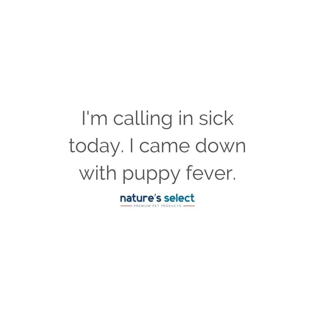 #ThoughtfulThursday brought to you by #NaturesSelect