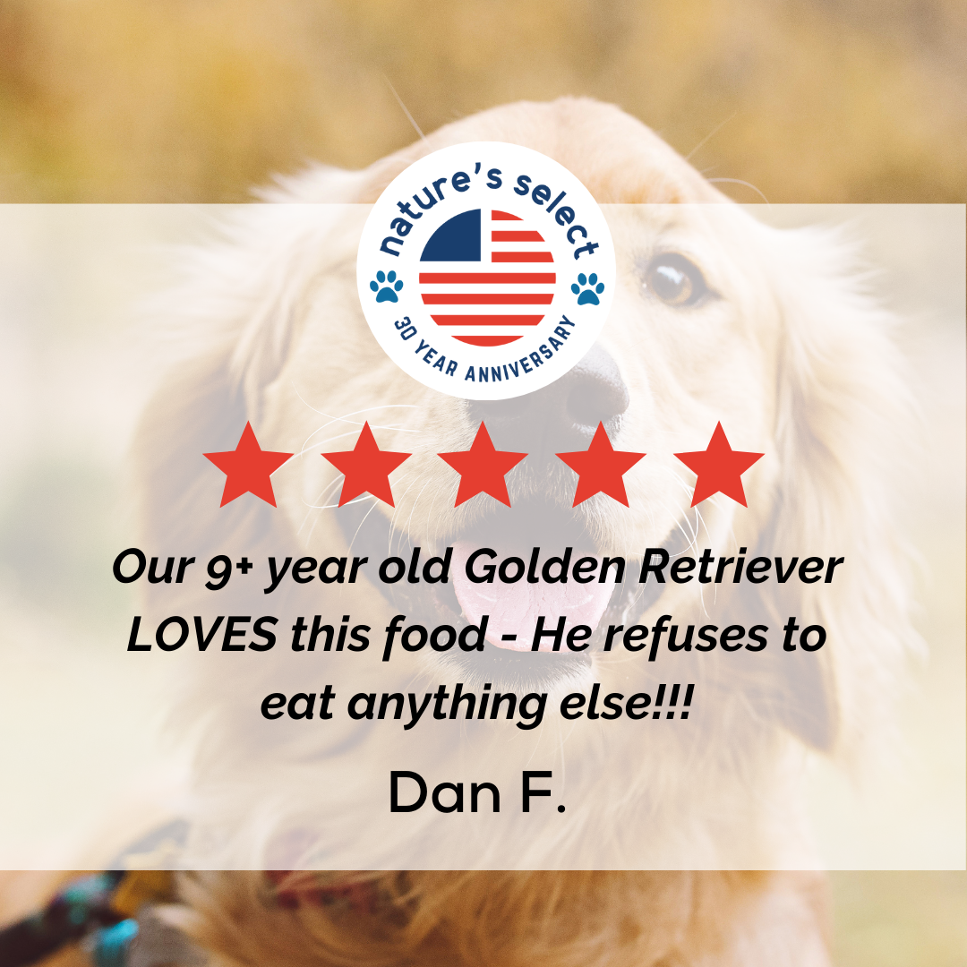 Review - Dan F..png