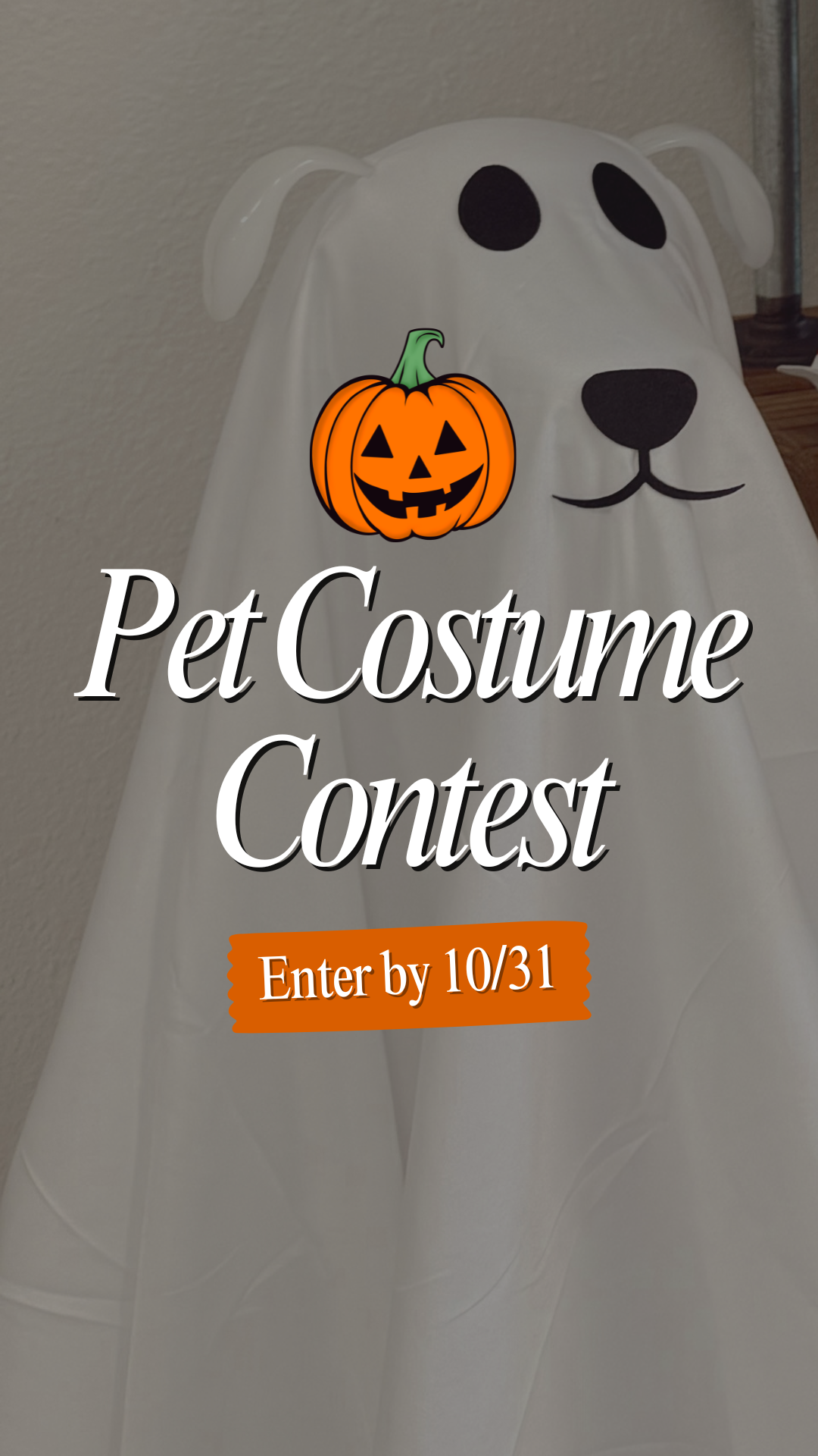 Annual Pet Costume Contest