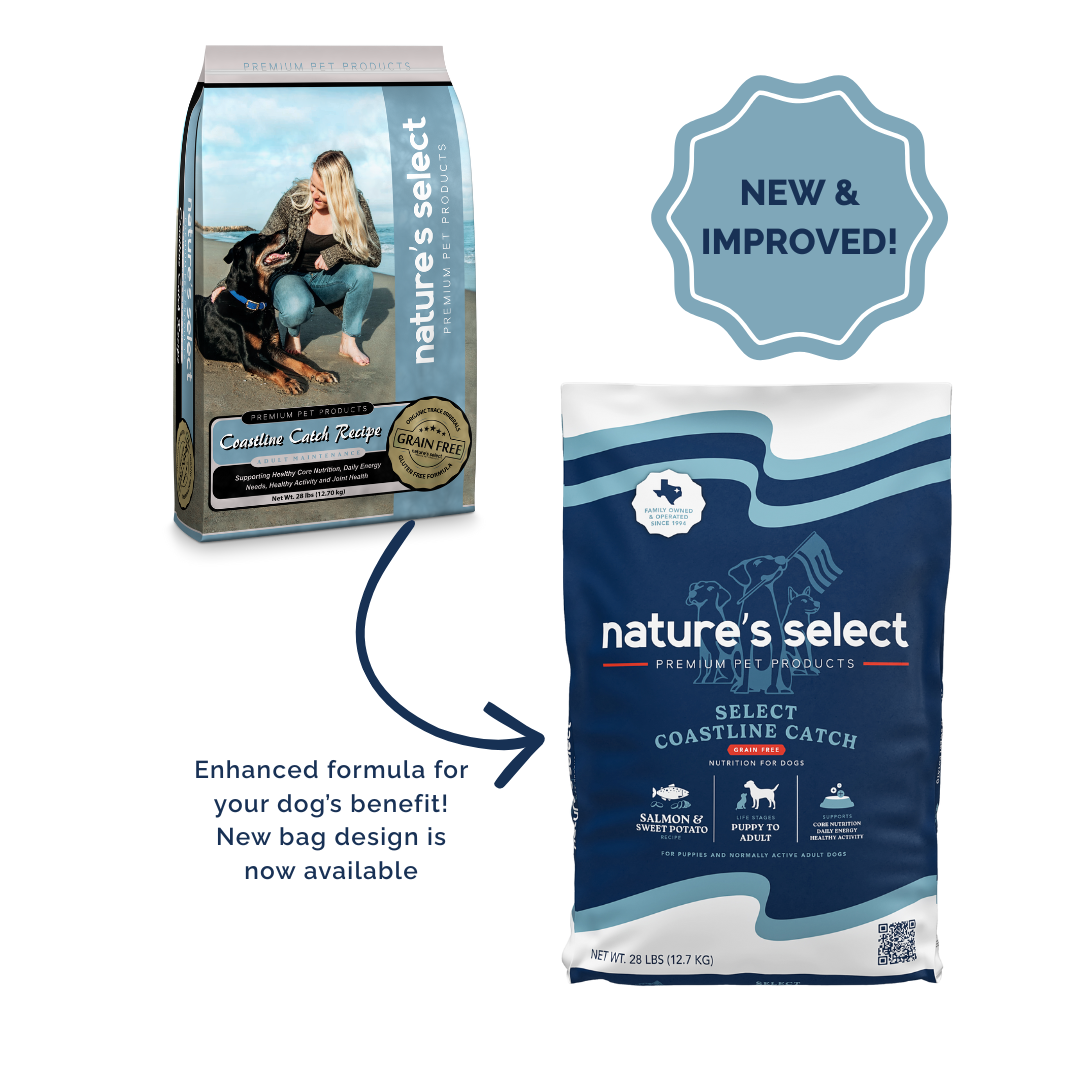 GFCC New Bag 2026.png