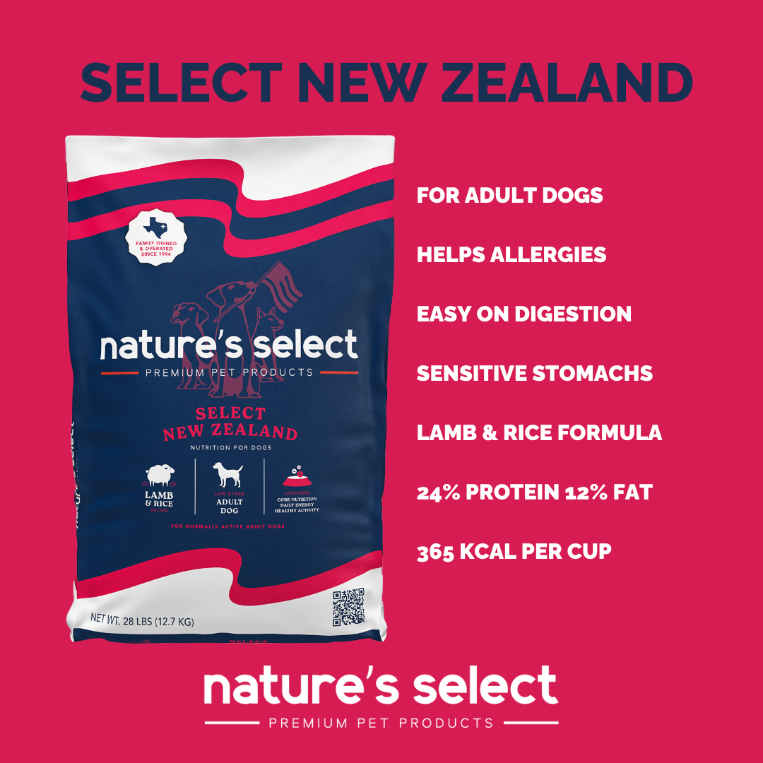 NZ Overview 2026.png