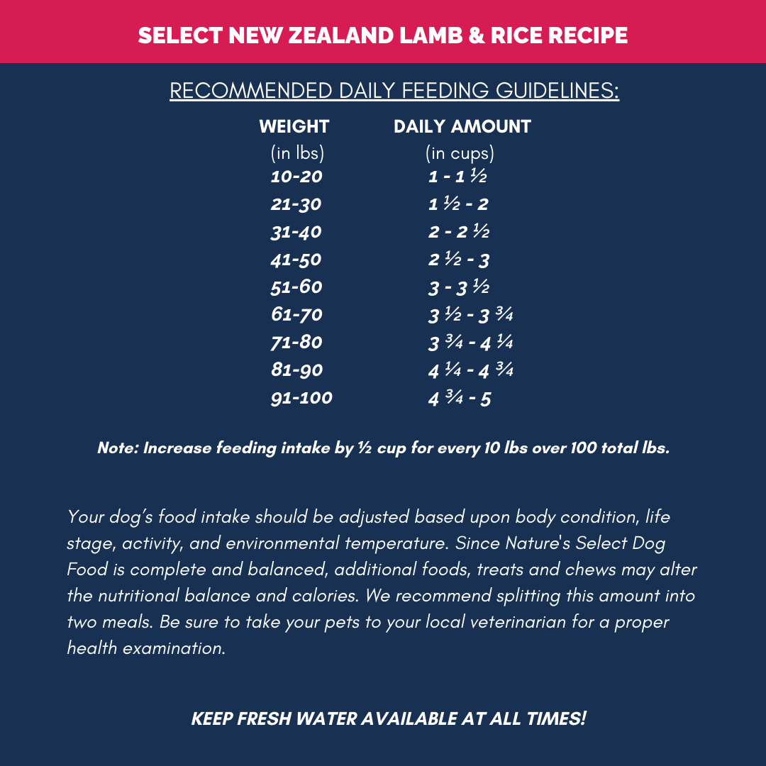 NZ Feeding Guidelines 2026.png