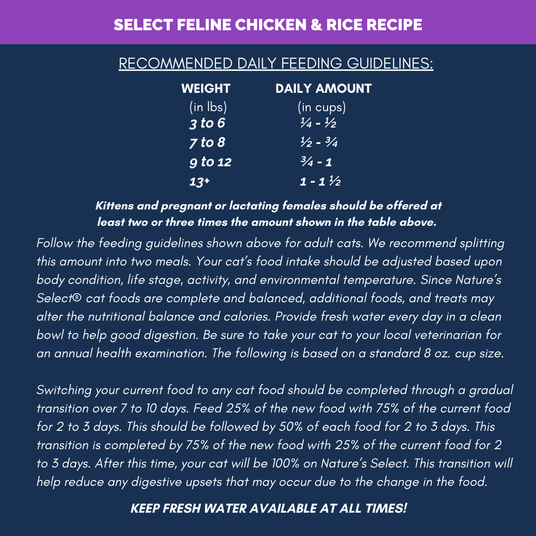 Feline Feeding Guidelines 2026.png