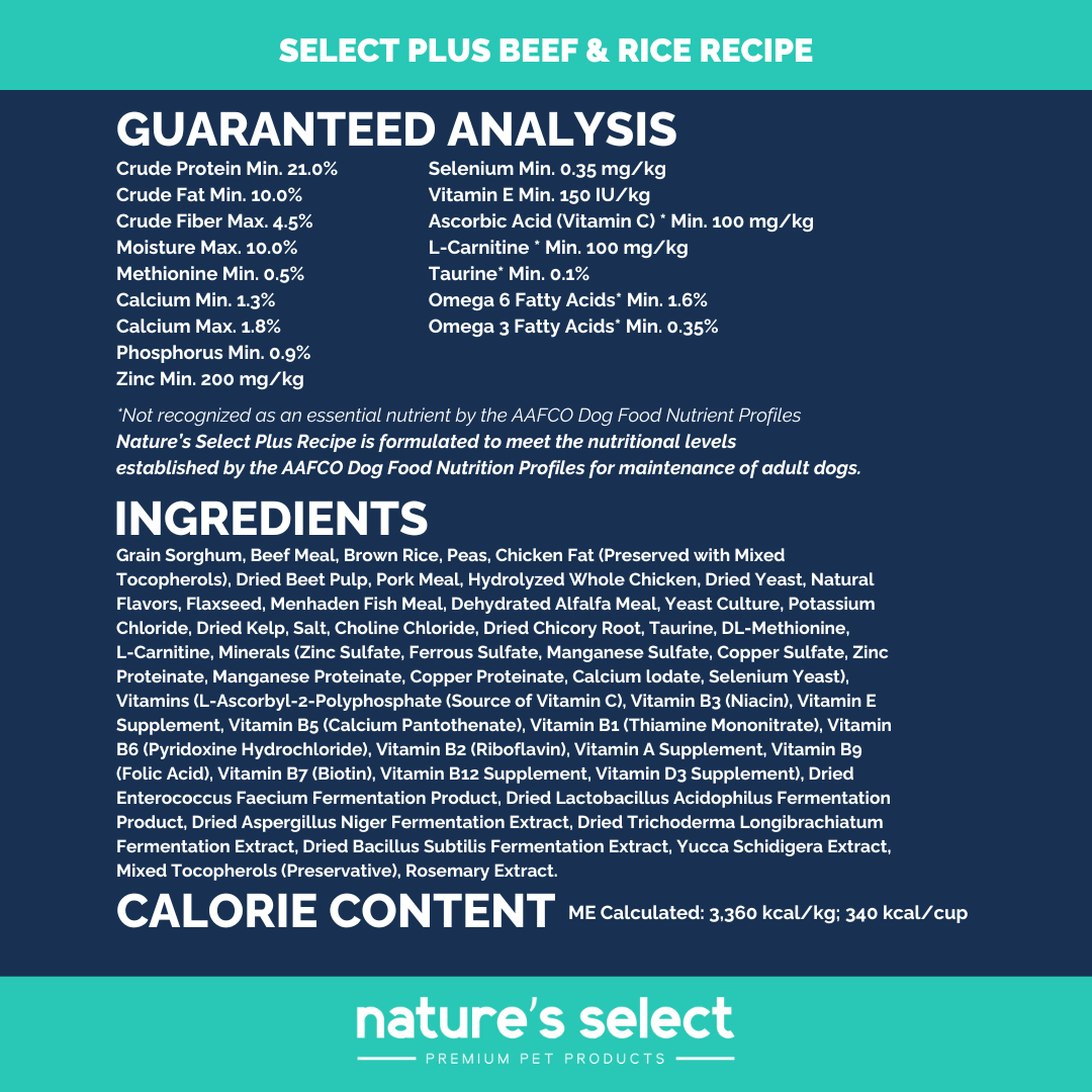 PL Guaranteed Analysis 2026.png