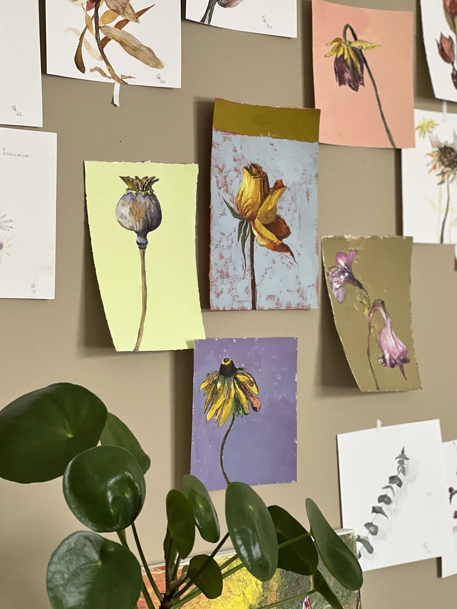 Pursuing your Passion with Confidence