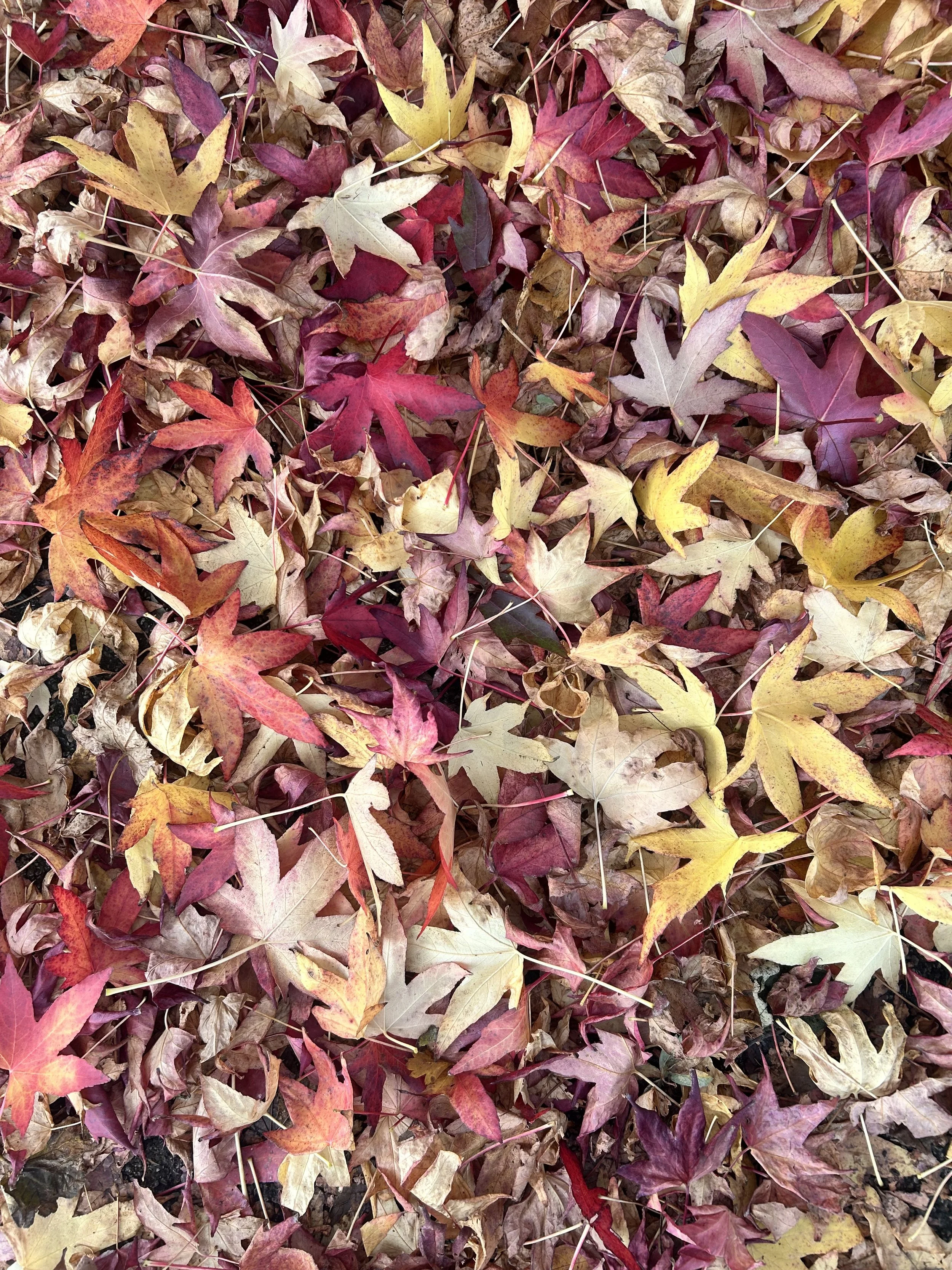 National Grief Awareness Week 