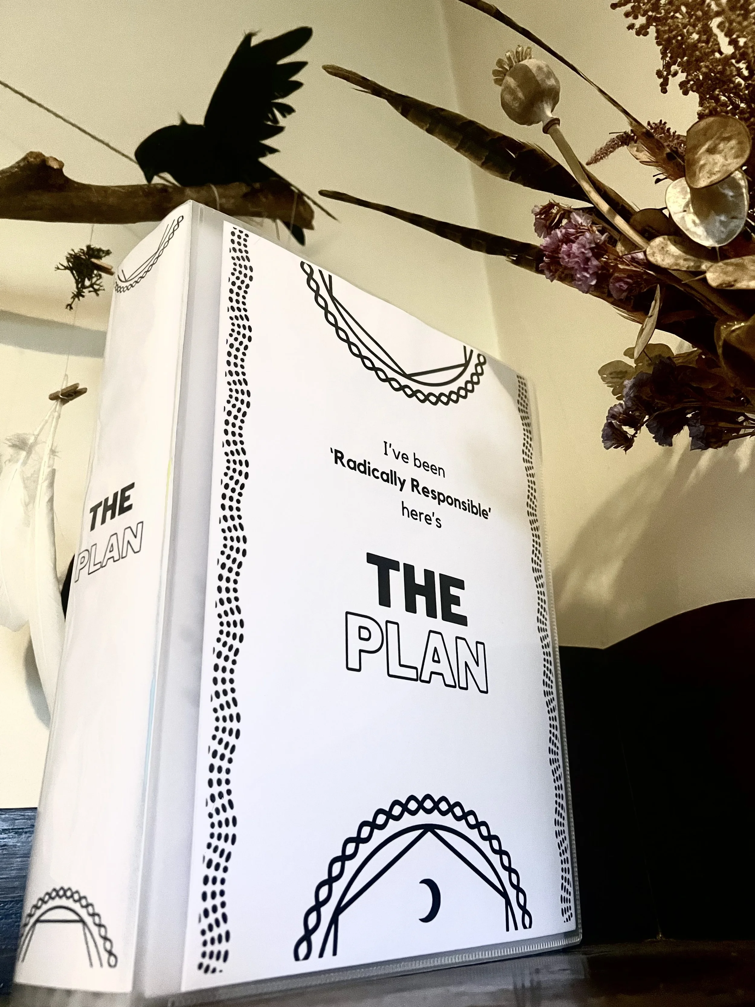 What is THE PLAN and why does End of Life Planning Matter? 