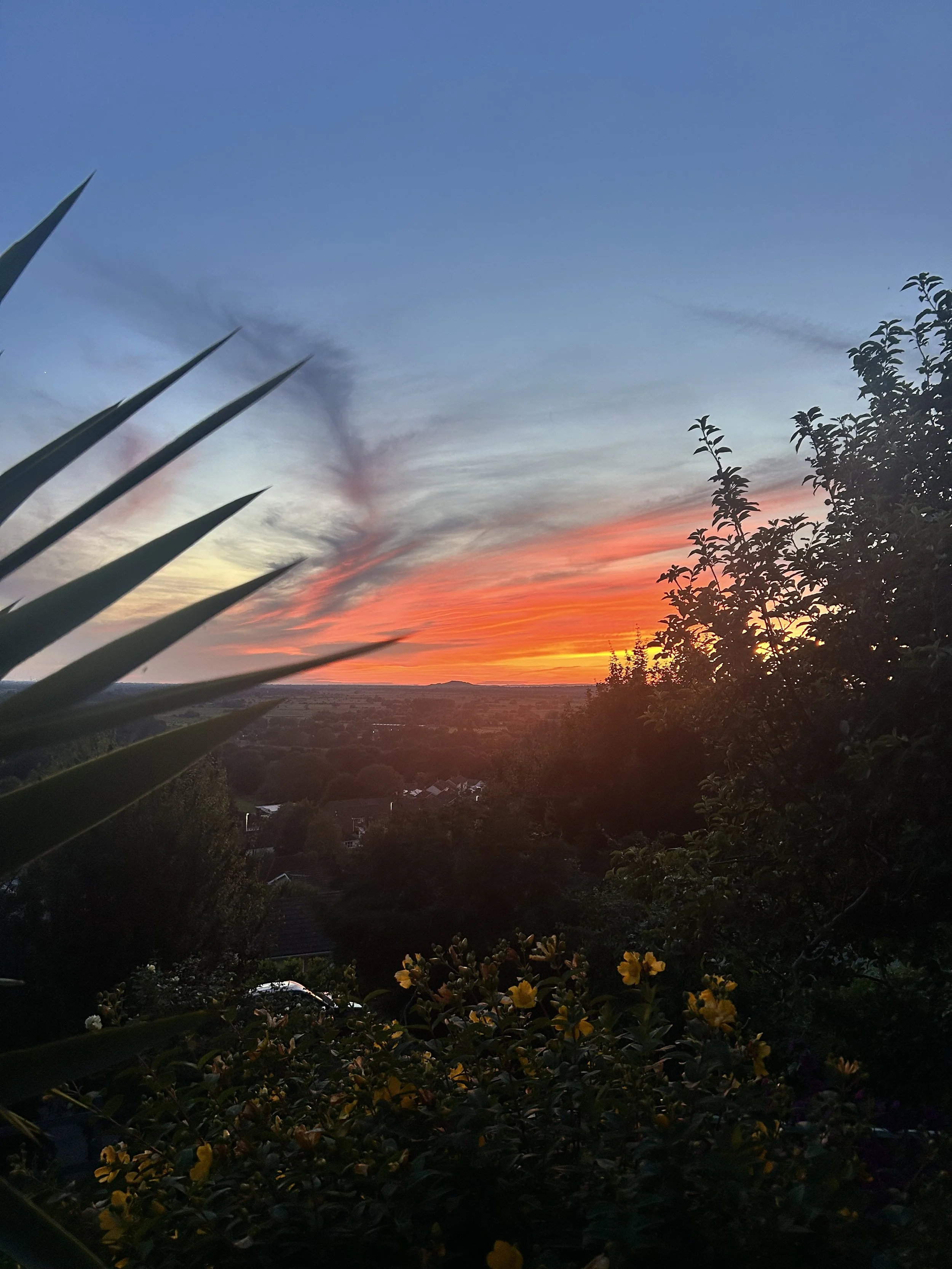 Reflections on Summer Solstice
