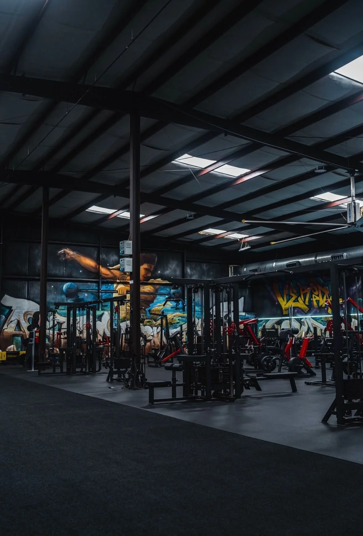 HA Gym 4.jpg