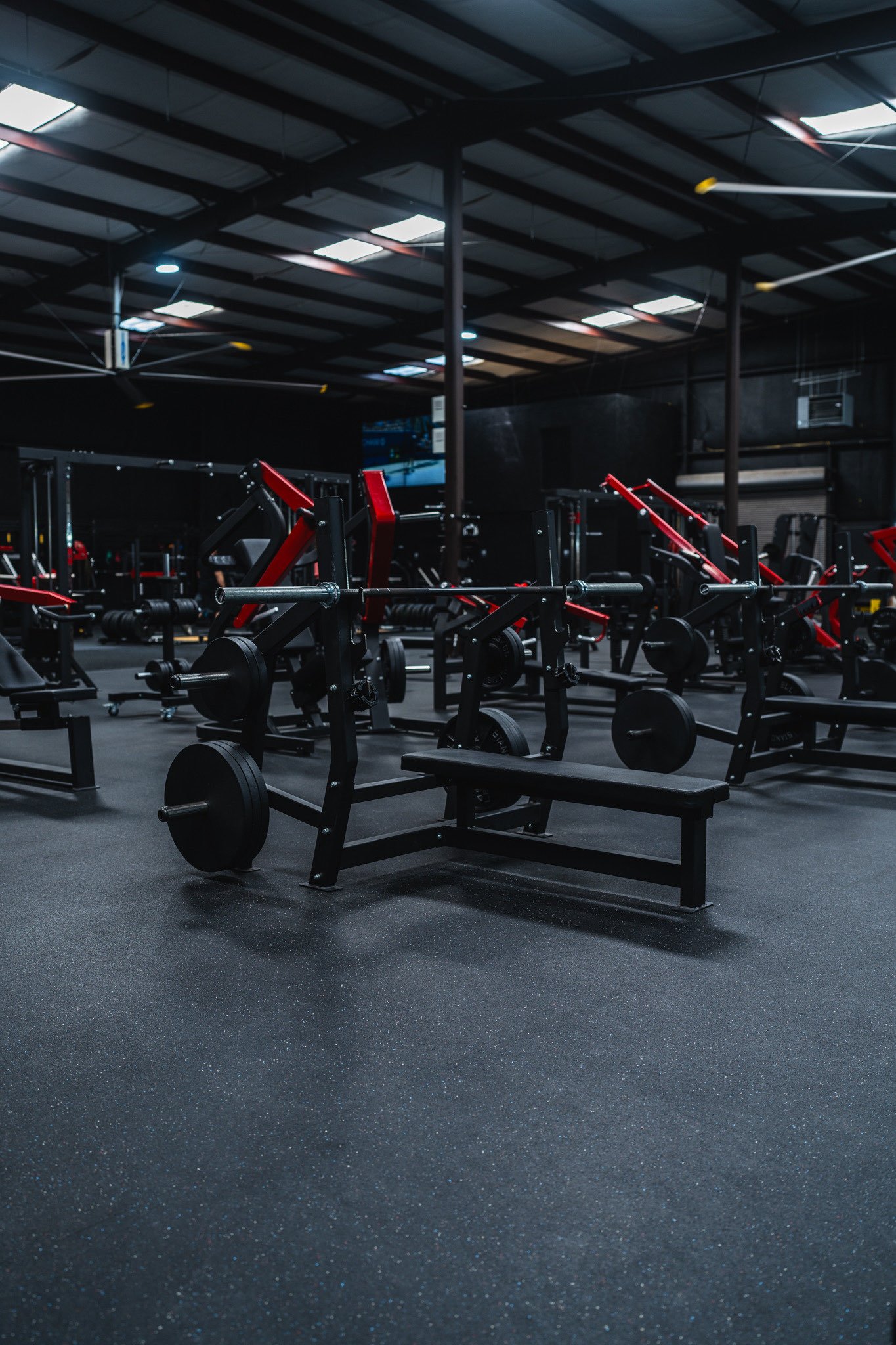 HA Gym 15.jpg