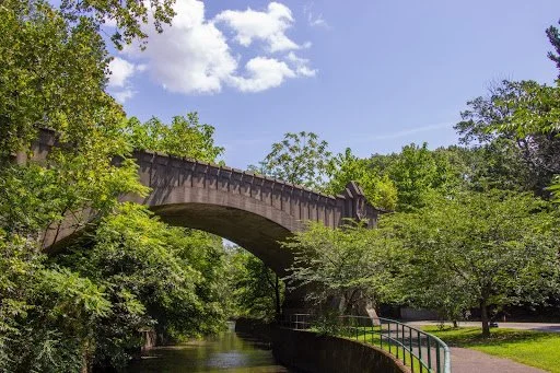 greenway-pt1-pic1.jpg