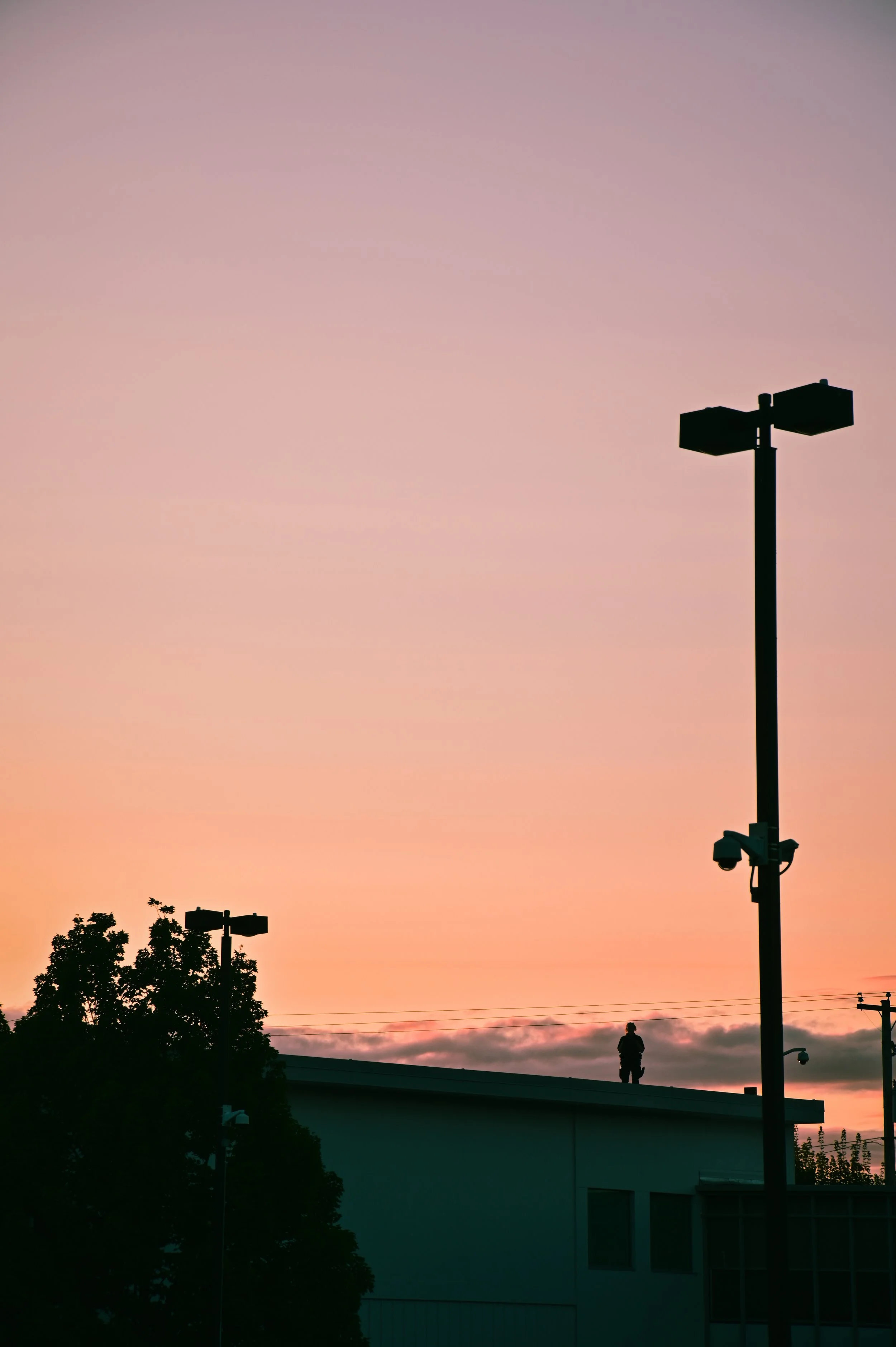 RS6_6838.jpg