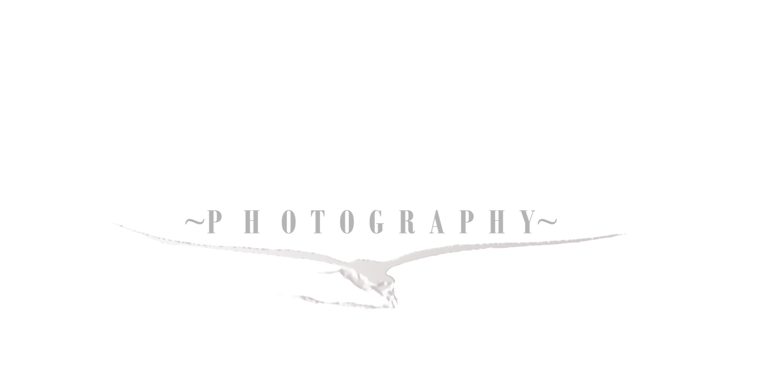 Bill Biles Photo&#39;s