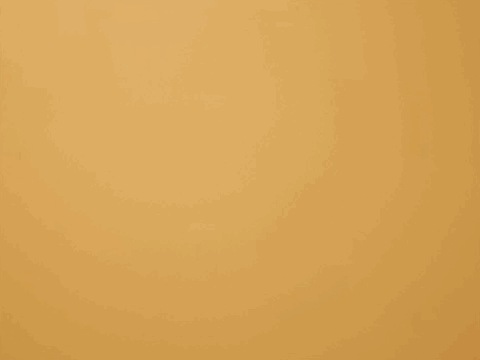 Home.gif