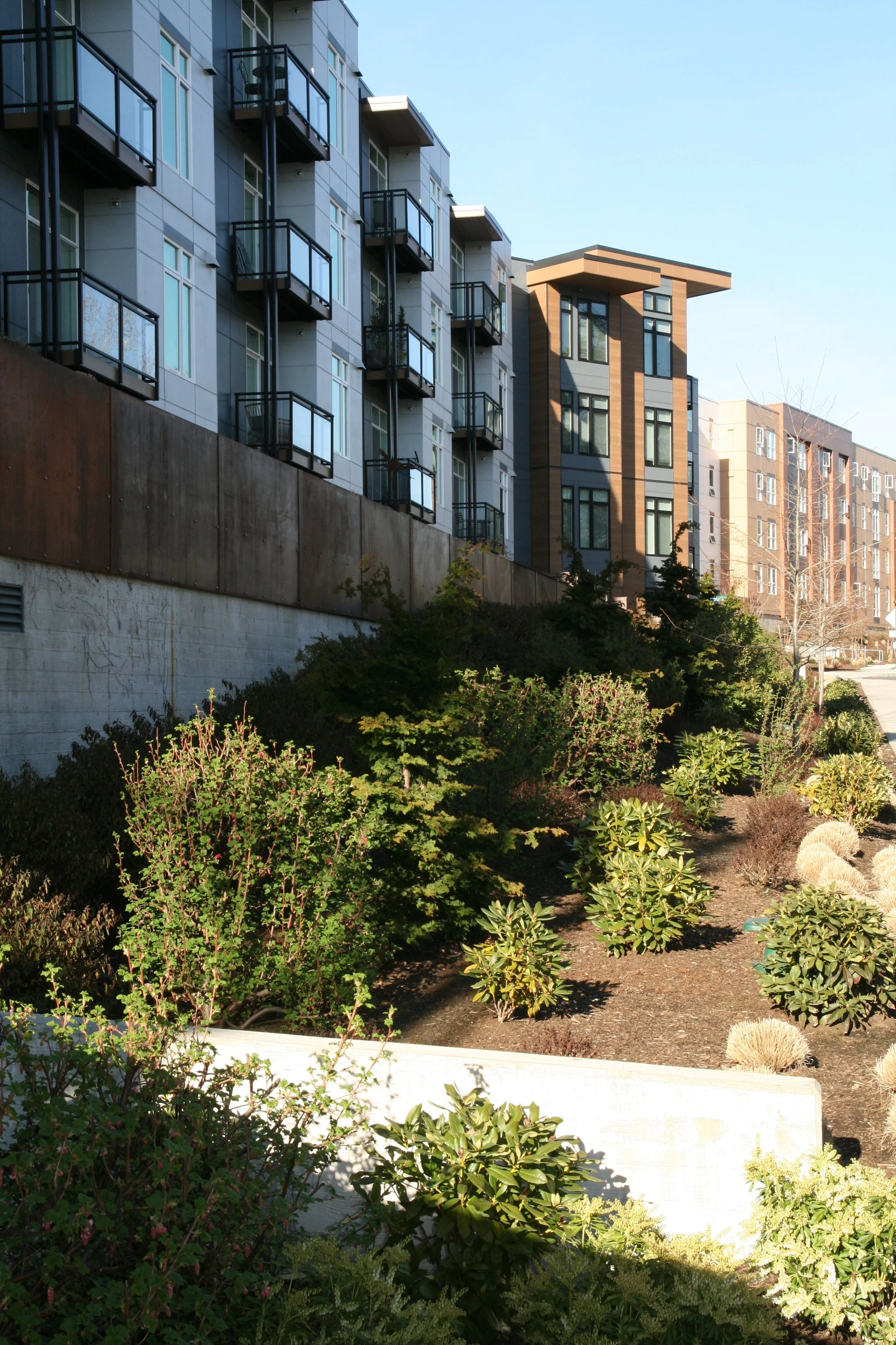 Weatherby Apartments — Pacific Landscape Architecture