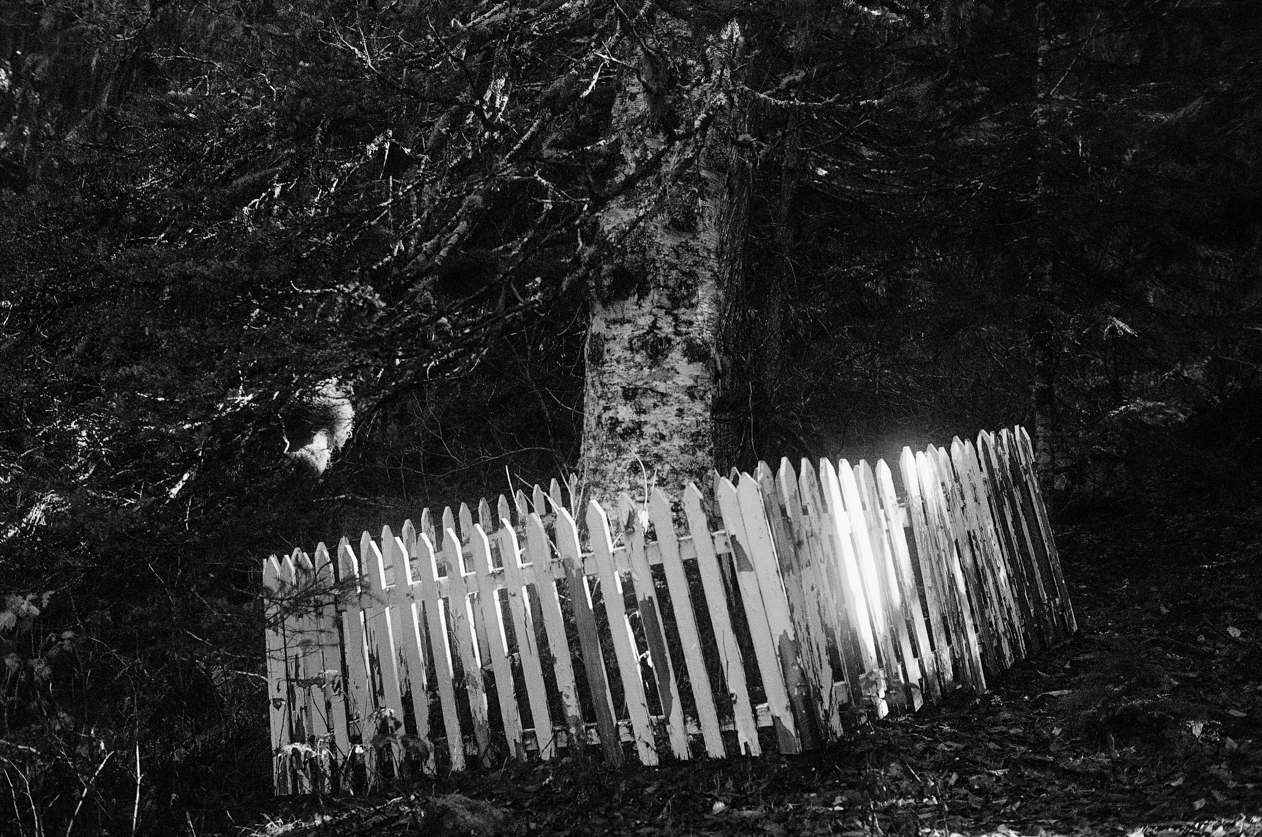 PRINT EDIT Monte_cristo_fence_35mm_BW.png