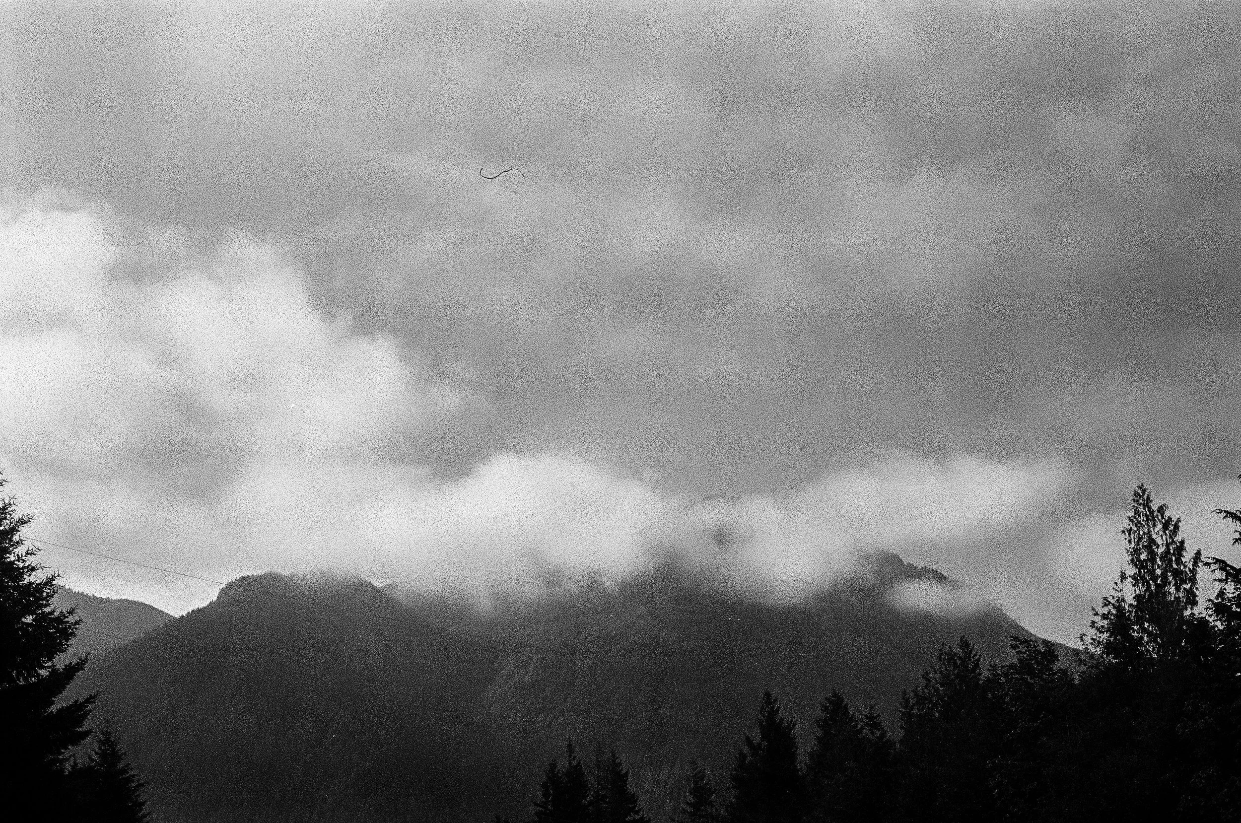 Mist_TWO_35mm_bw_EzraW._jpg.jpg