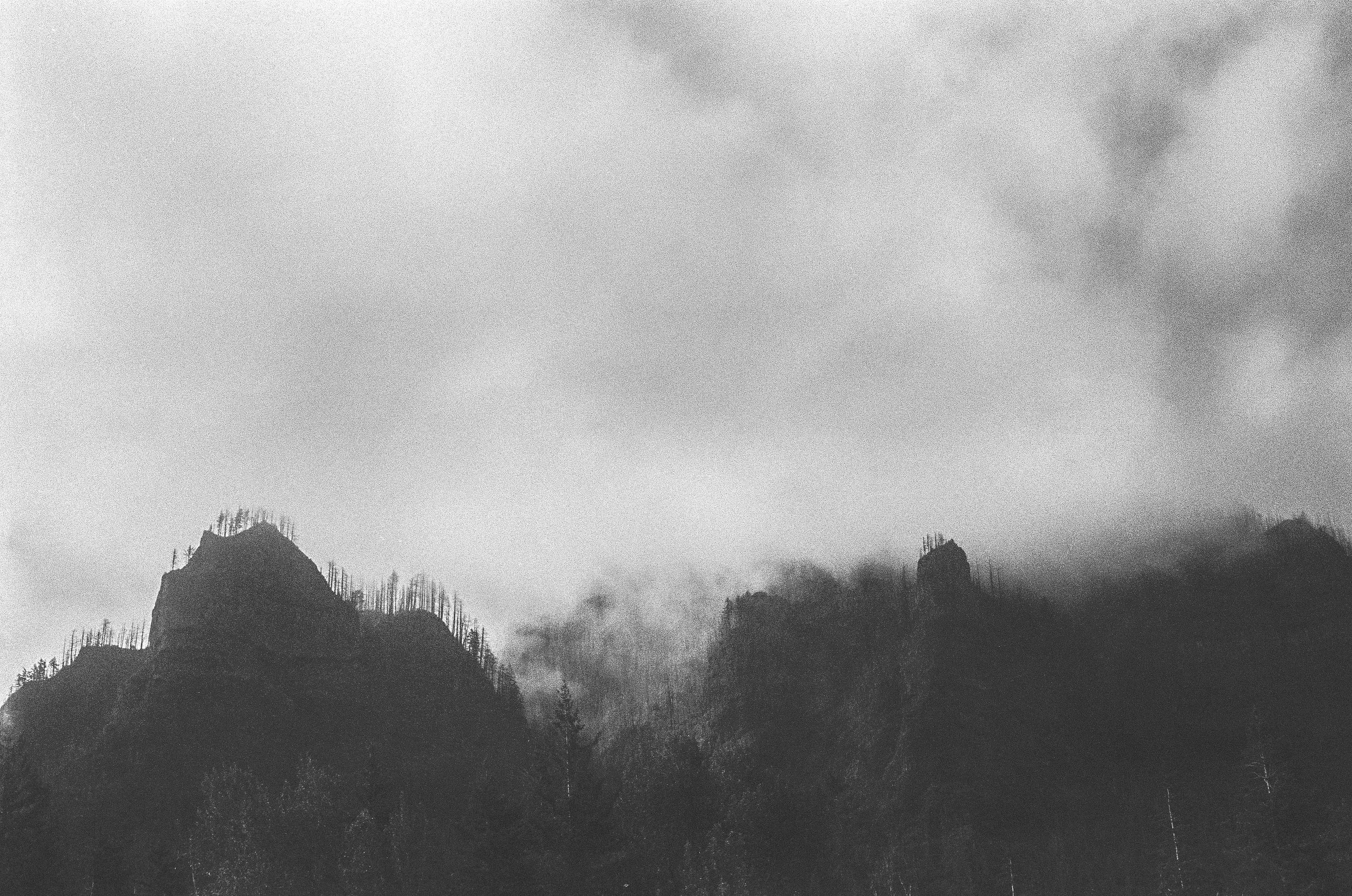 Mist_ONE_35mm_bw_EzraW._jpg.jpg