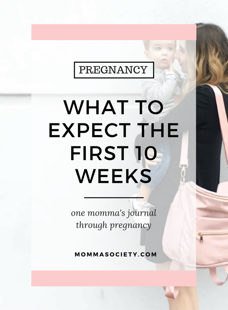 The First 10 Weeks: A Pregnancy Journal 