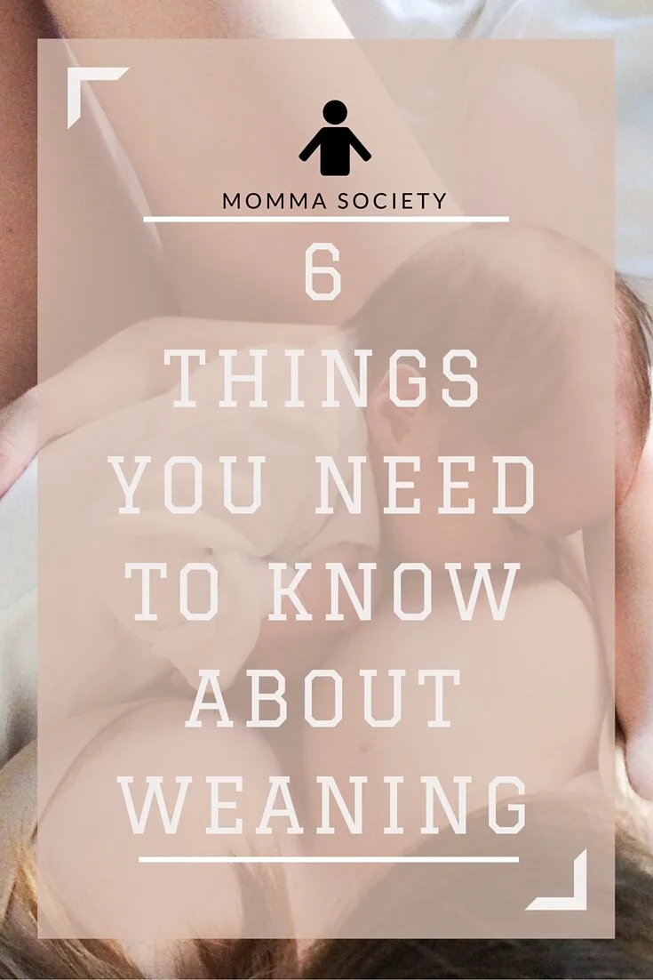 6 Things You Need To Know About Weaning