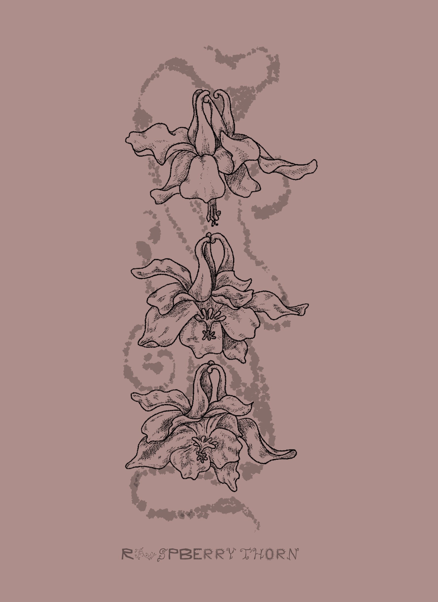 Untitled_Artwork.jpeg