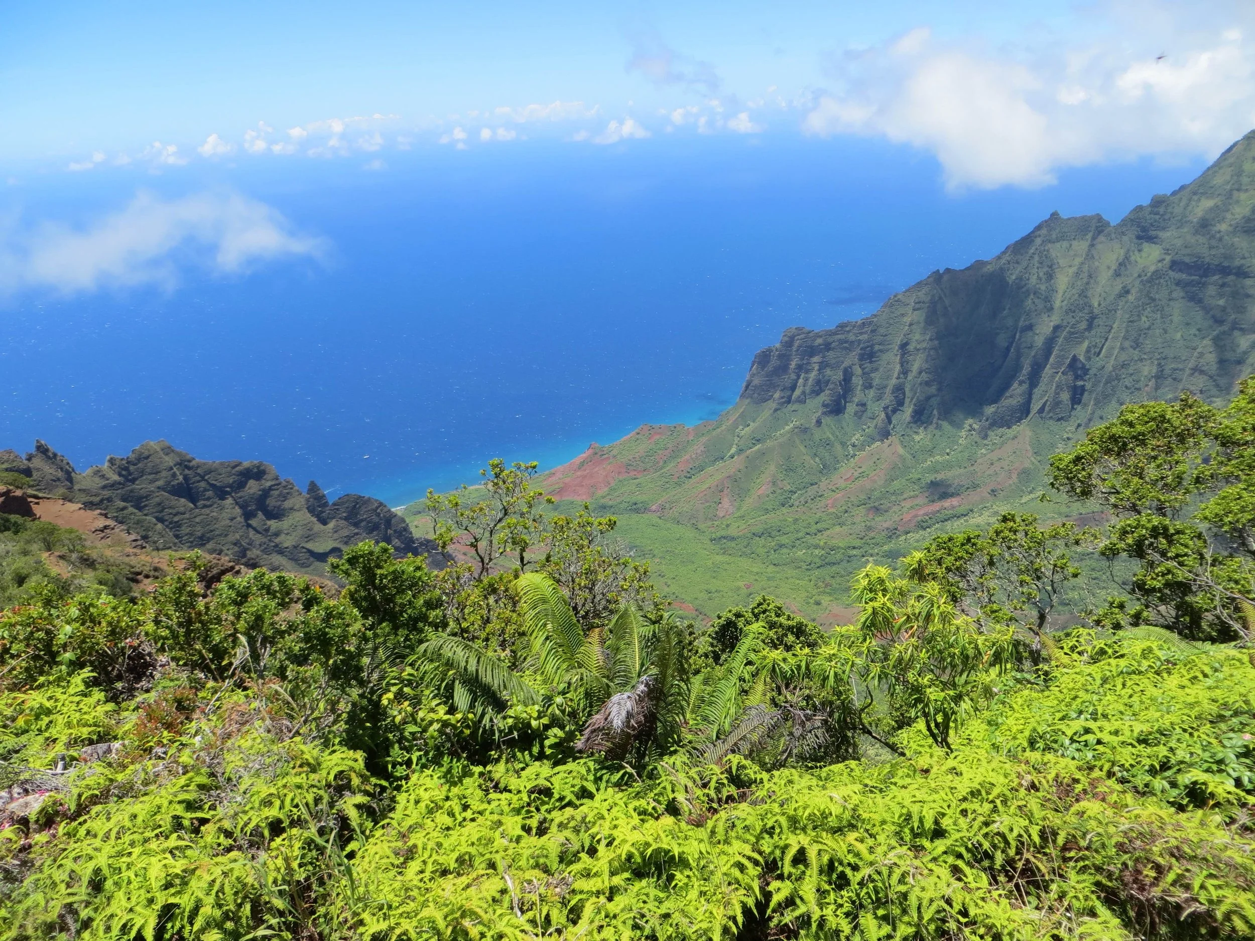 Kalalau 1.jpeg