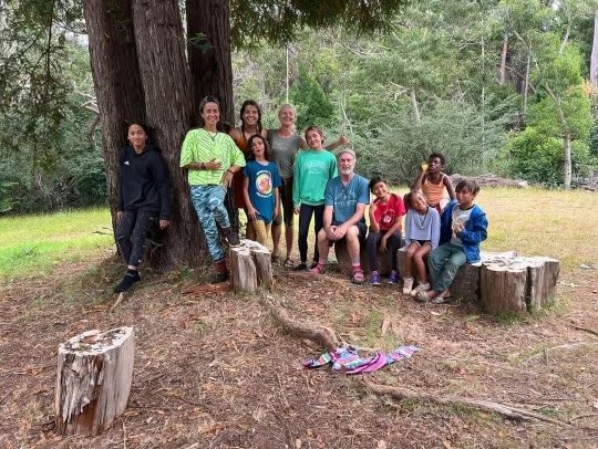 Tree Group 1 (1).jpg