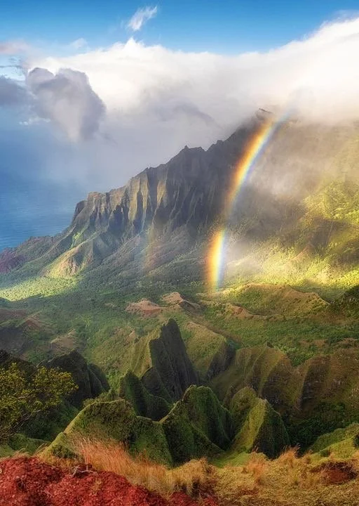 260424299_10224960940643242_8697468488842923921_n copy 2.jpeg