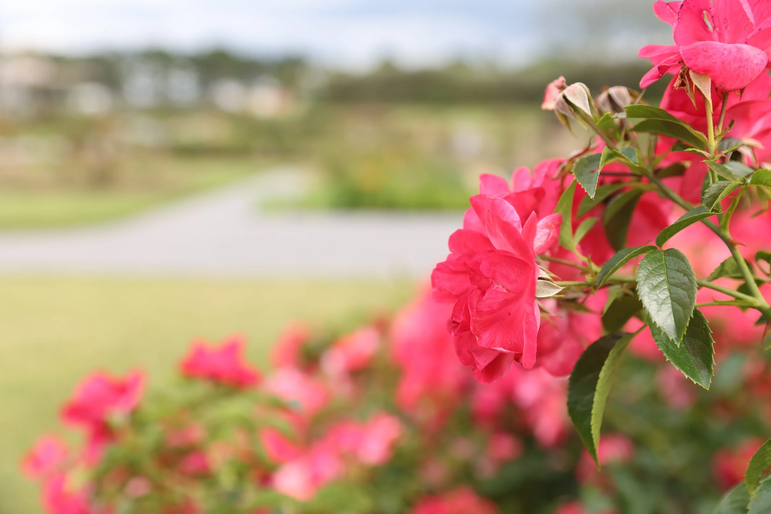 There’s a Fresh Beginning in the Air…