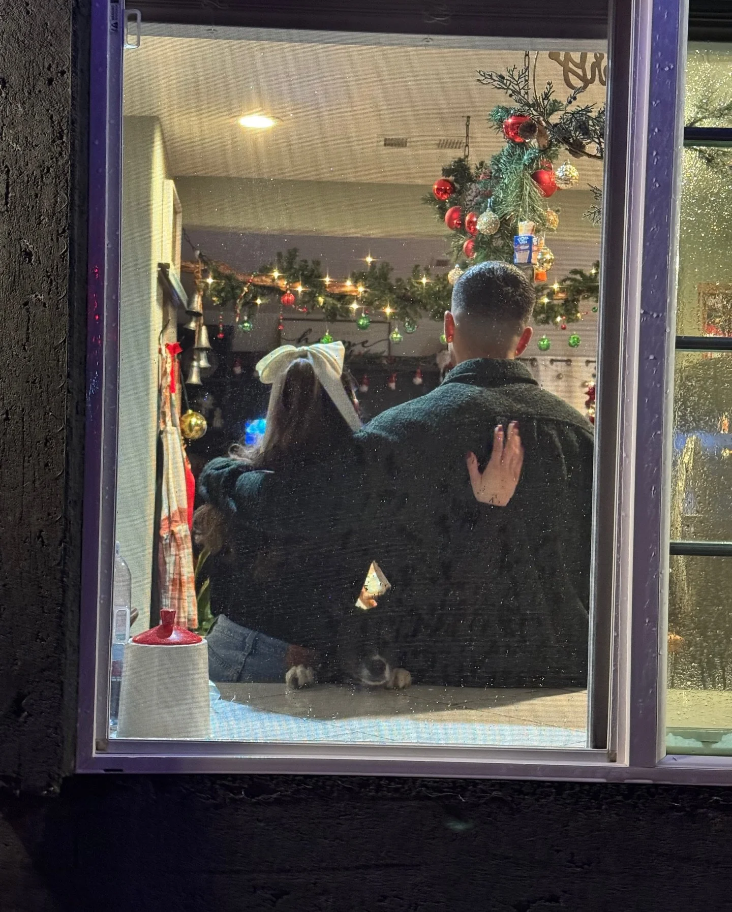 Merry merry Christmas 🎄🙏🤍🐾

#christmasattheranch #mexicanchristmas #feliznavidad