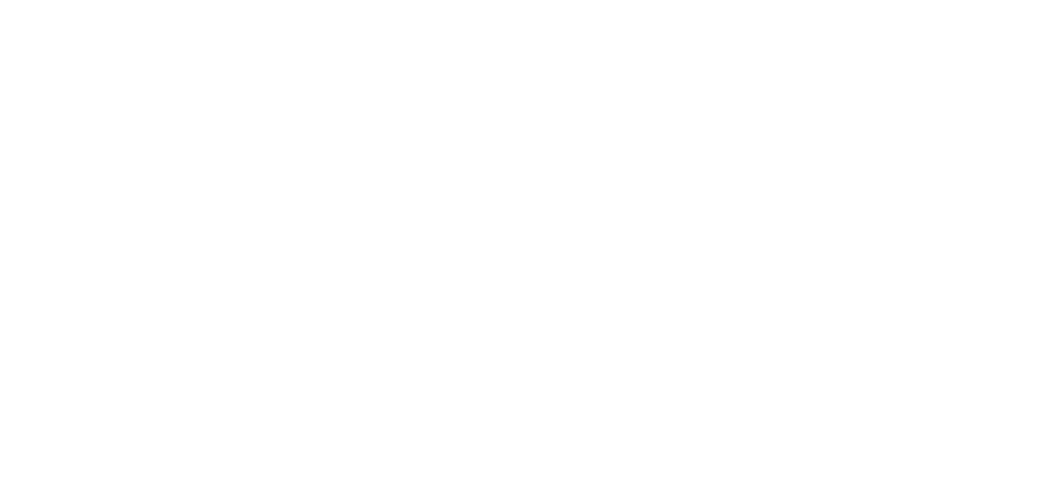 Aris Hasegawa