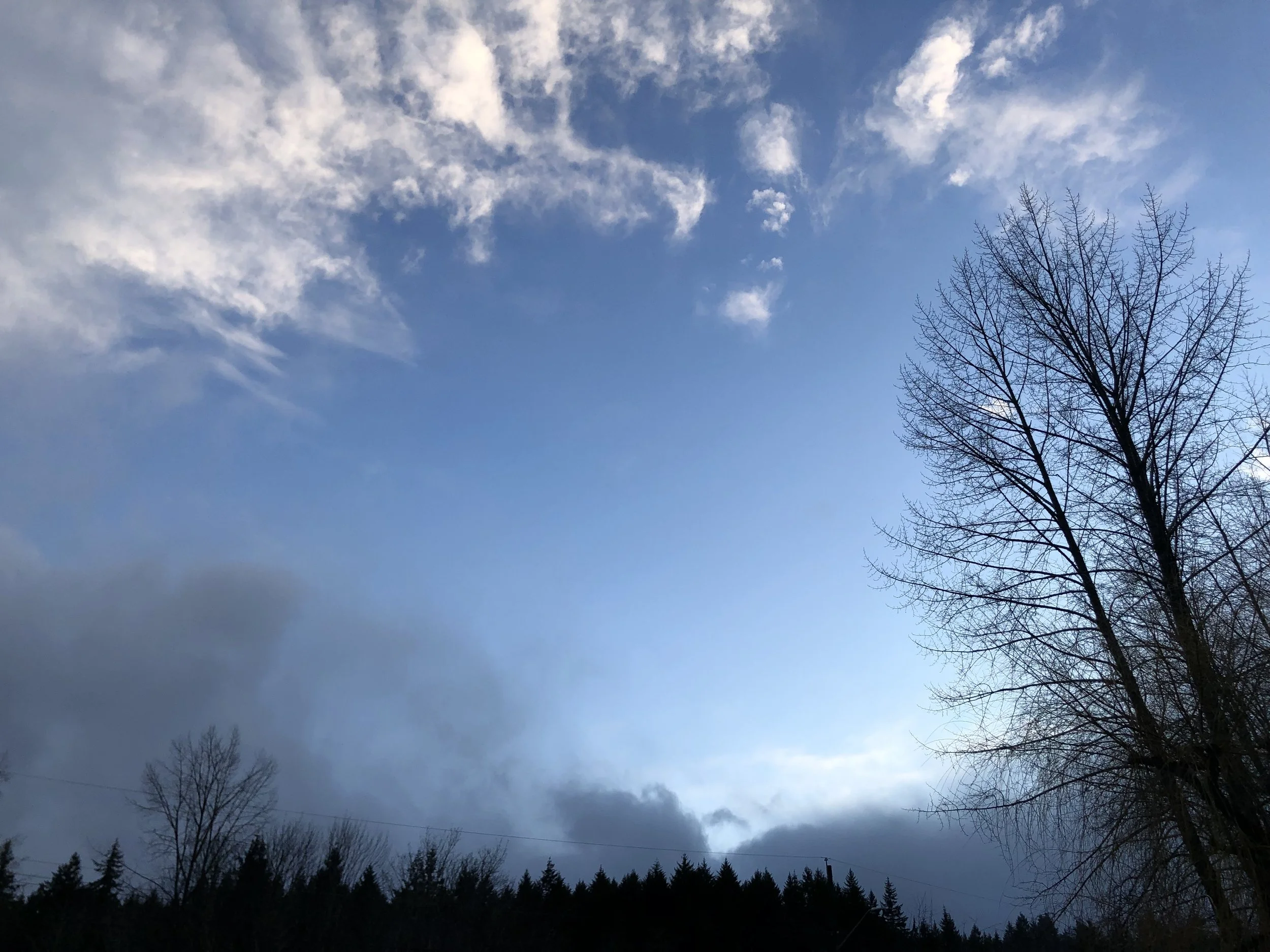 Insight Meditation: A Path of Discovery