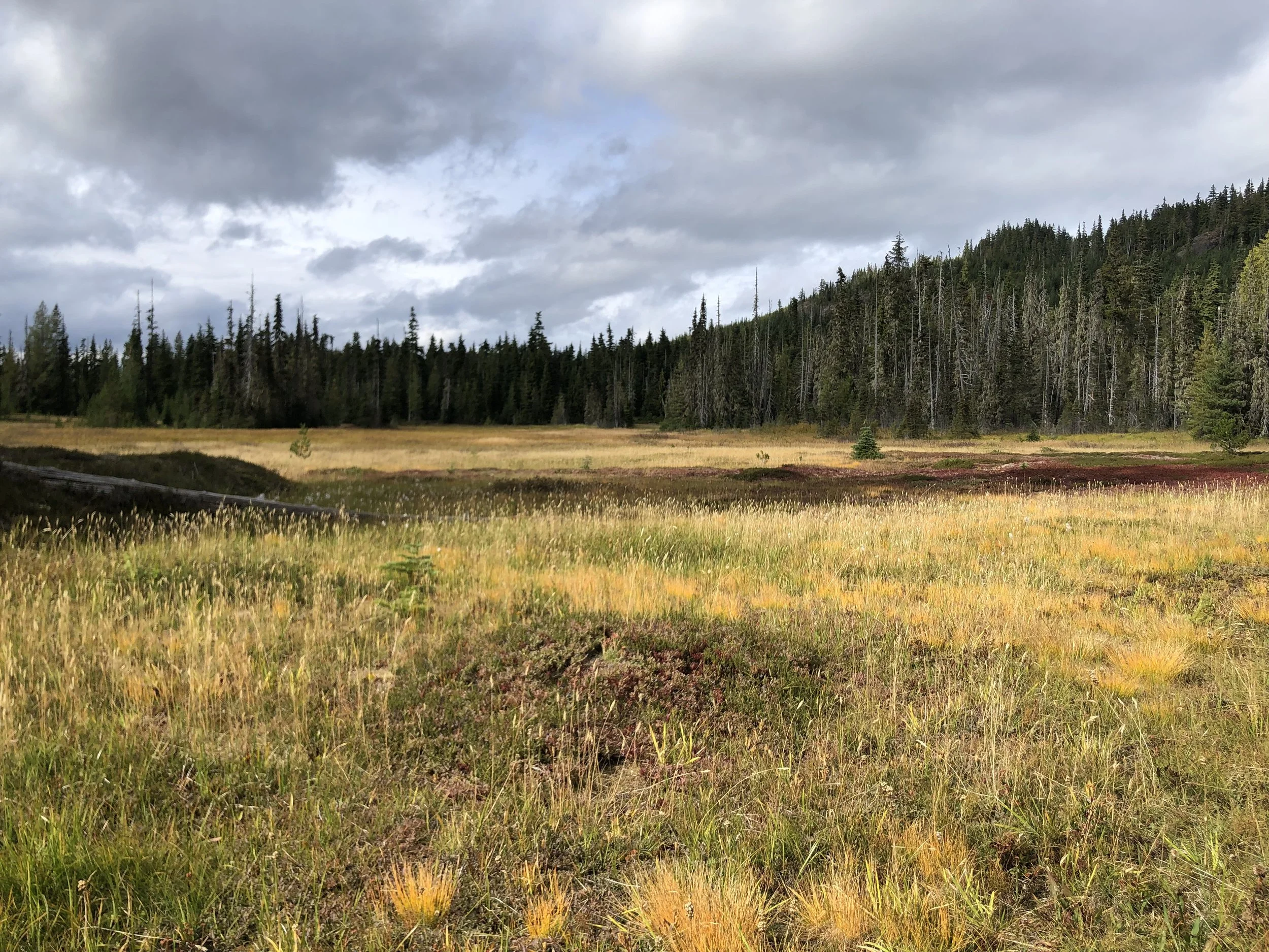 Deepen Your Practice 