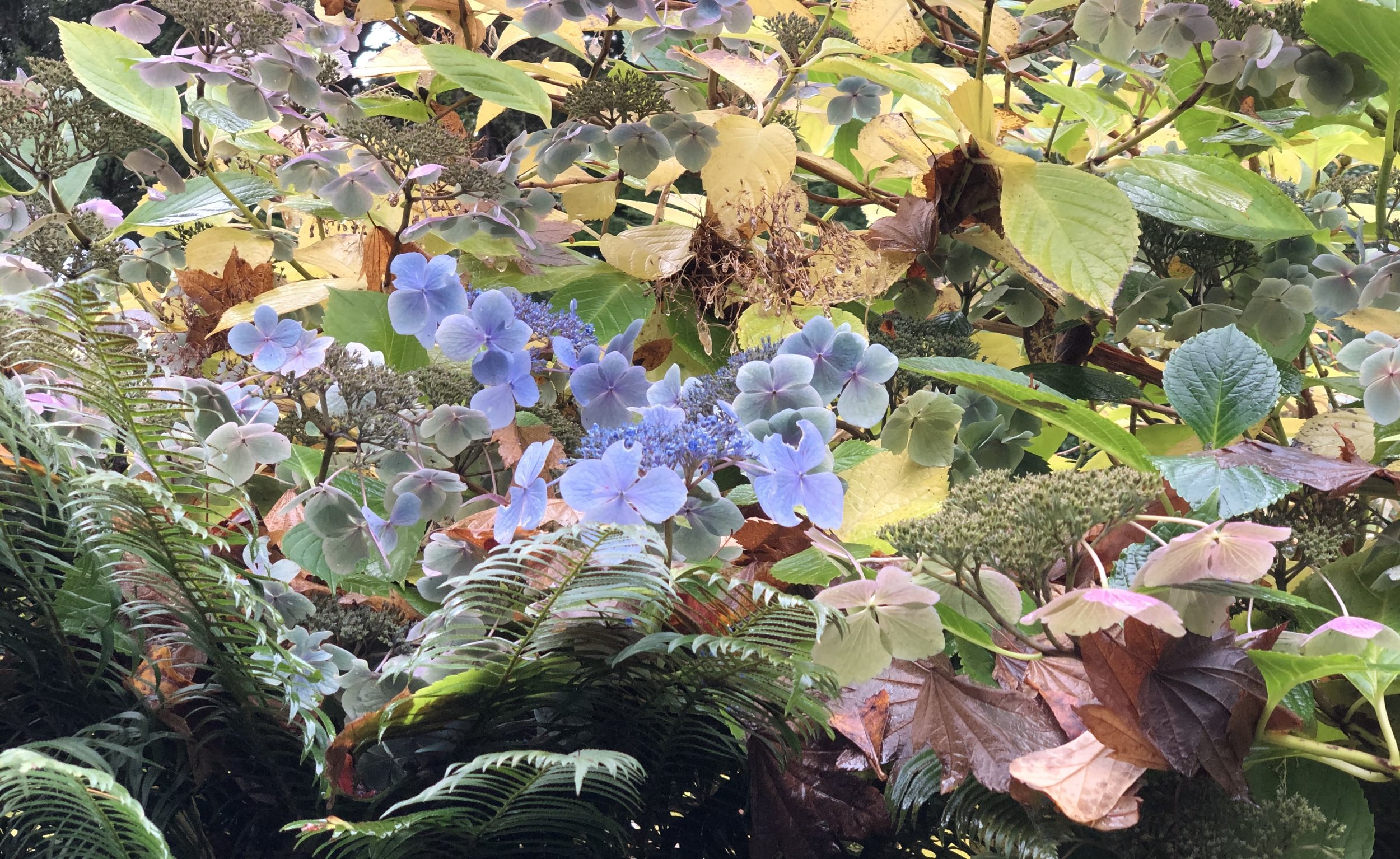 Deepen Your Practice November Retreat