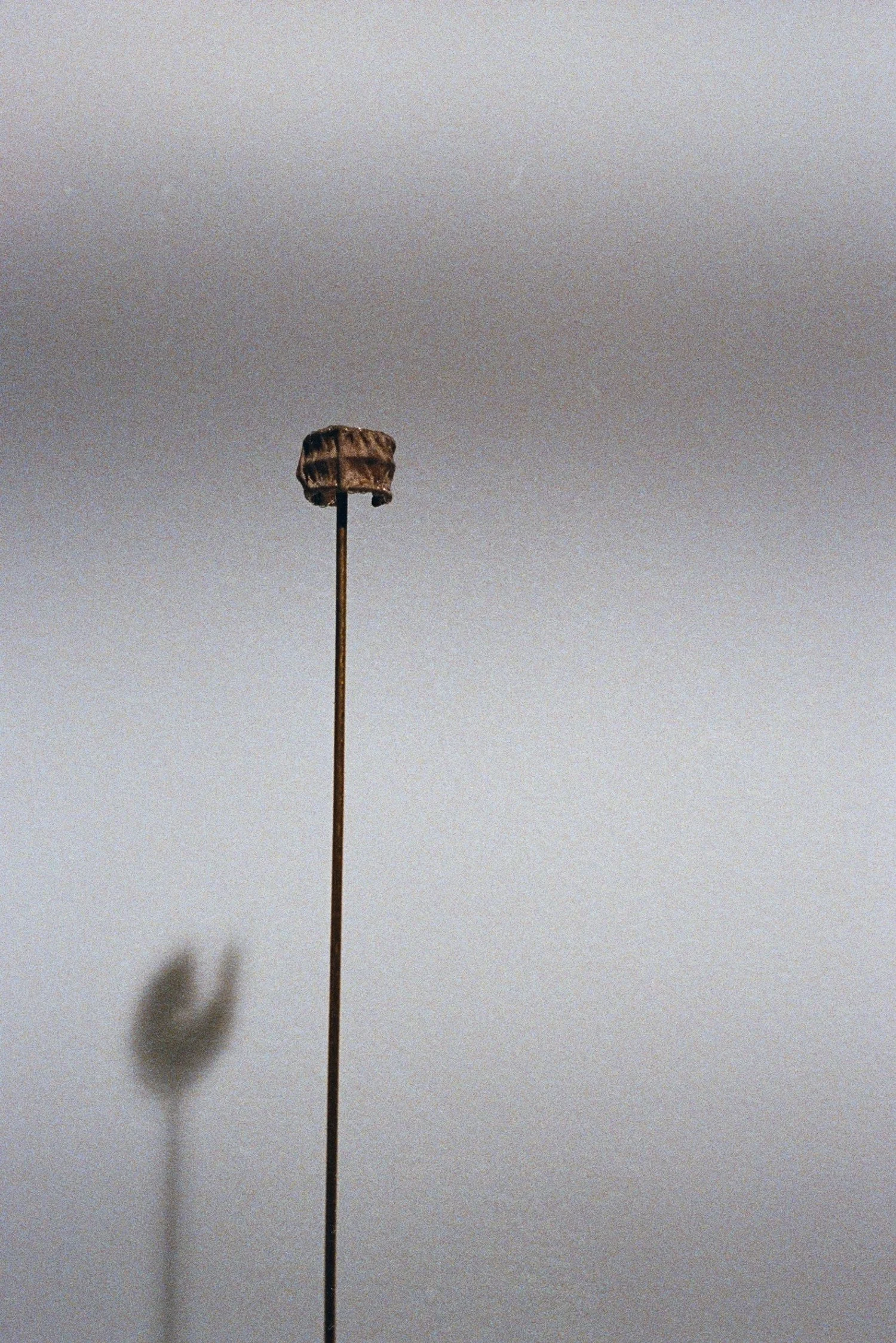 bda09-21.jpg