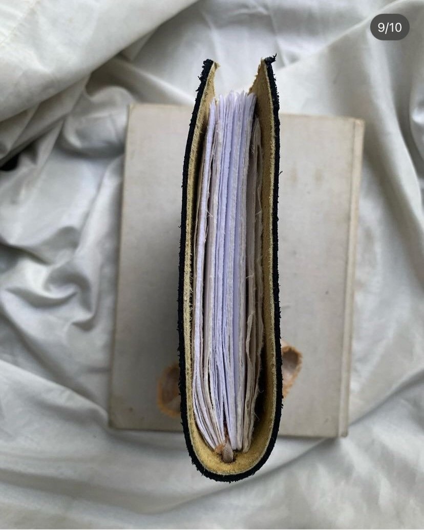 SL101.jpg