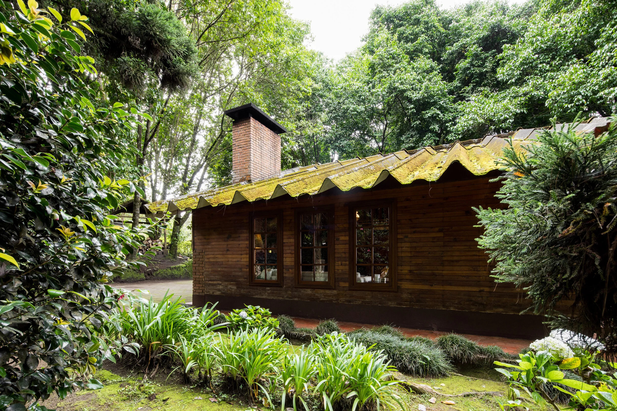 cloud_house_web-3.jpg
