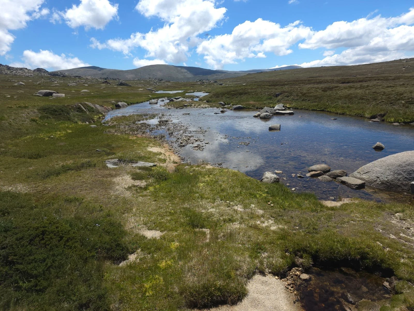 PHOTO-2026-02-13-16-20-09 2.jpg